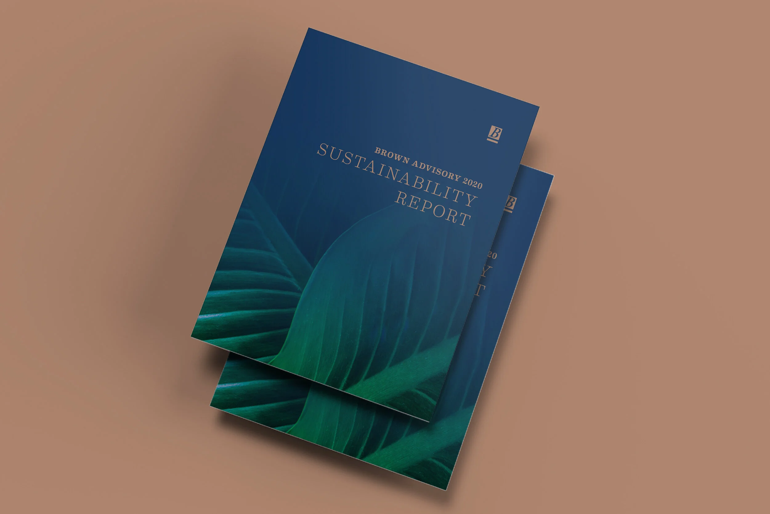ba_sustainReport_header.jpg