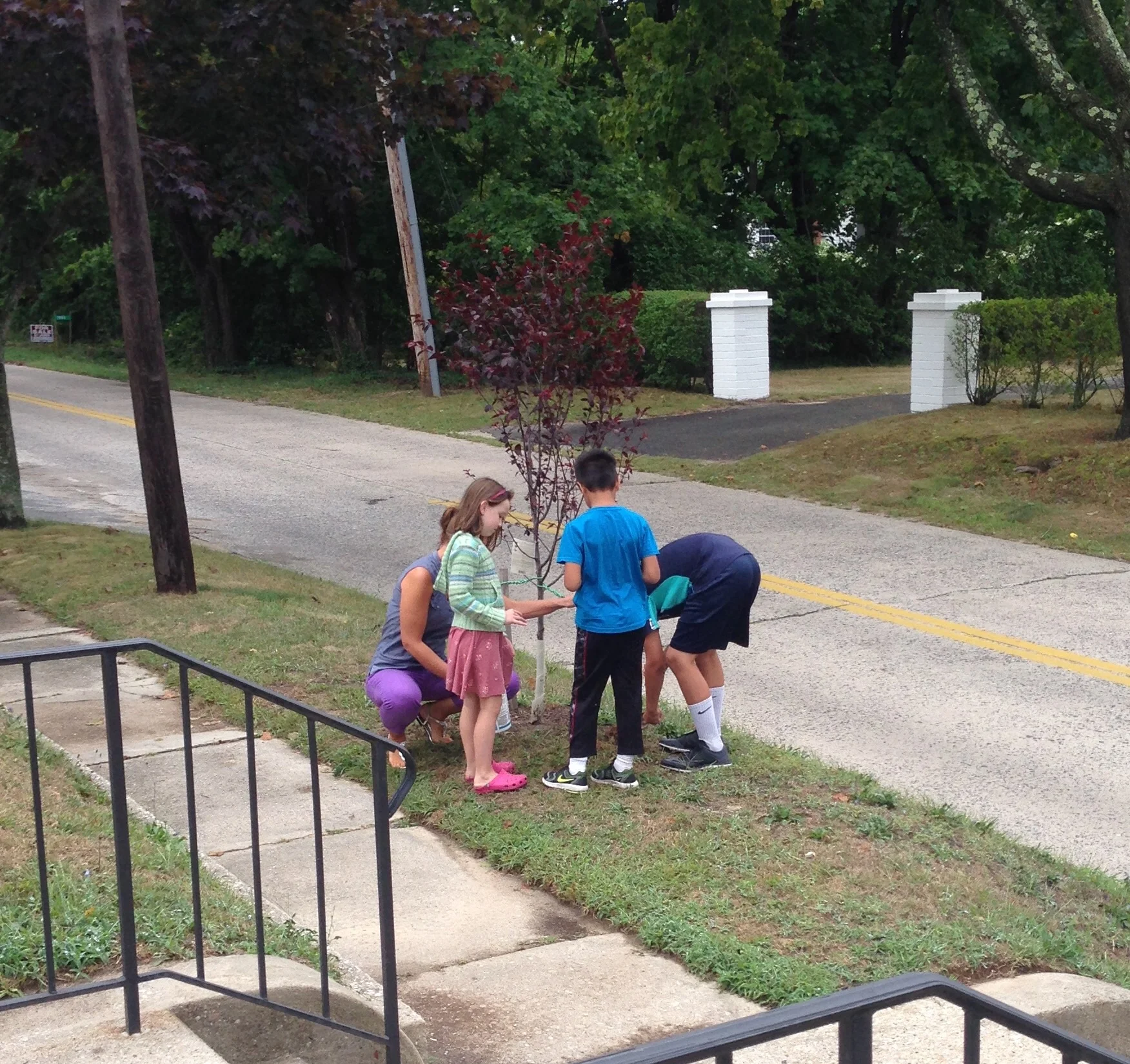 Mrs. Mauro, Caroline, Mel, and Robbie plant around Sadie Heston's tree