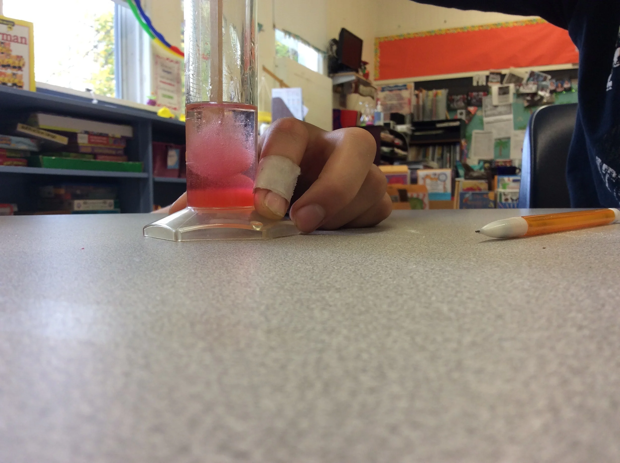Our strawberry DNA