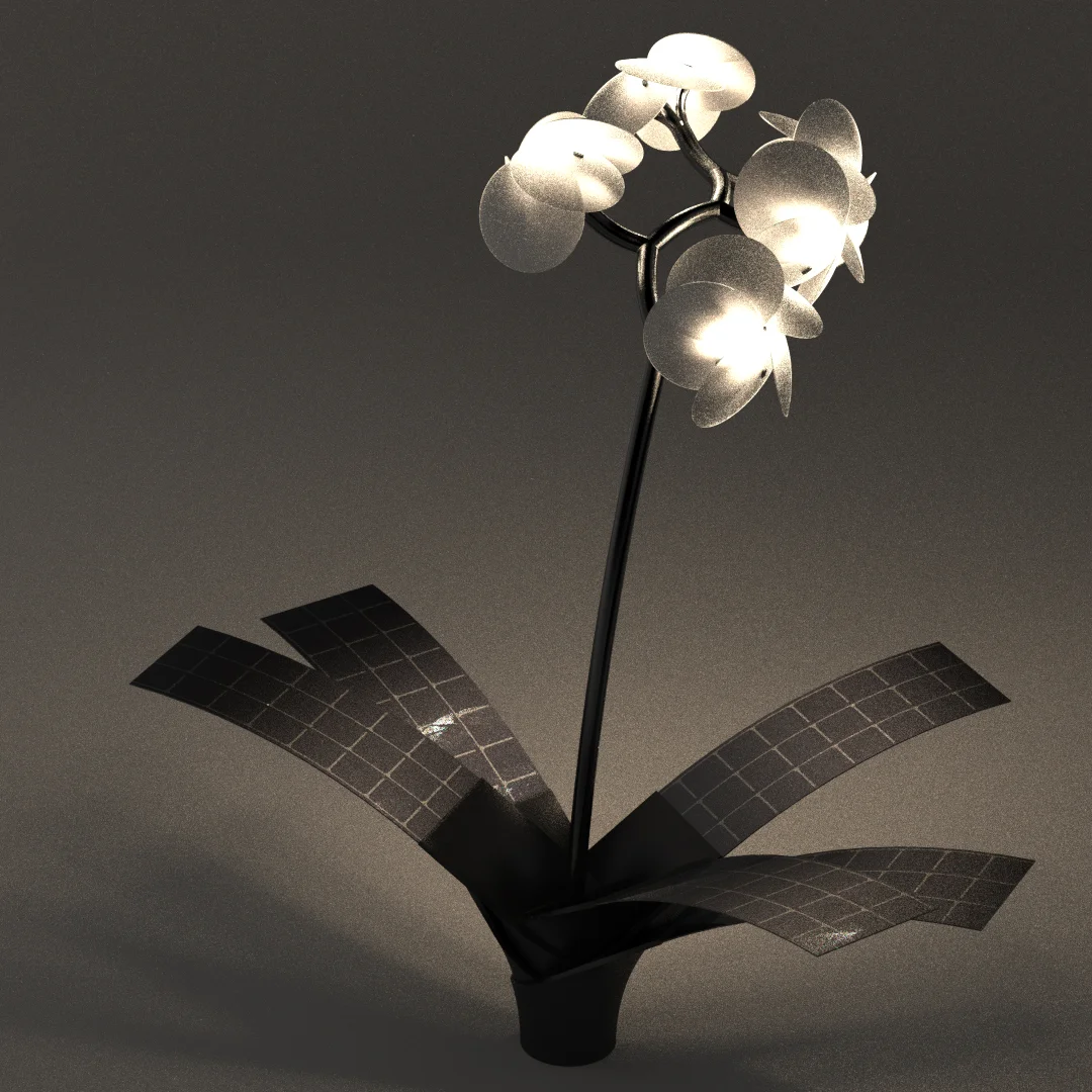 Orkys captures sun to light its flowers