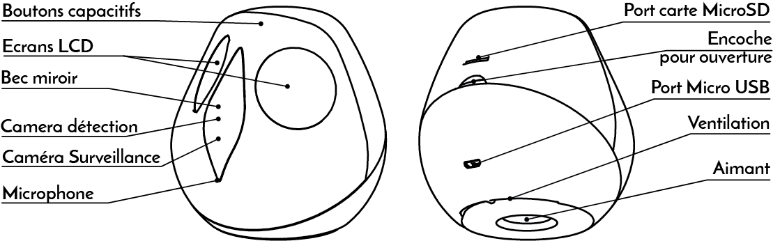 features.png