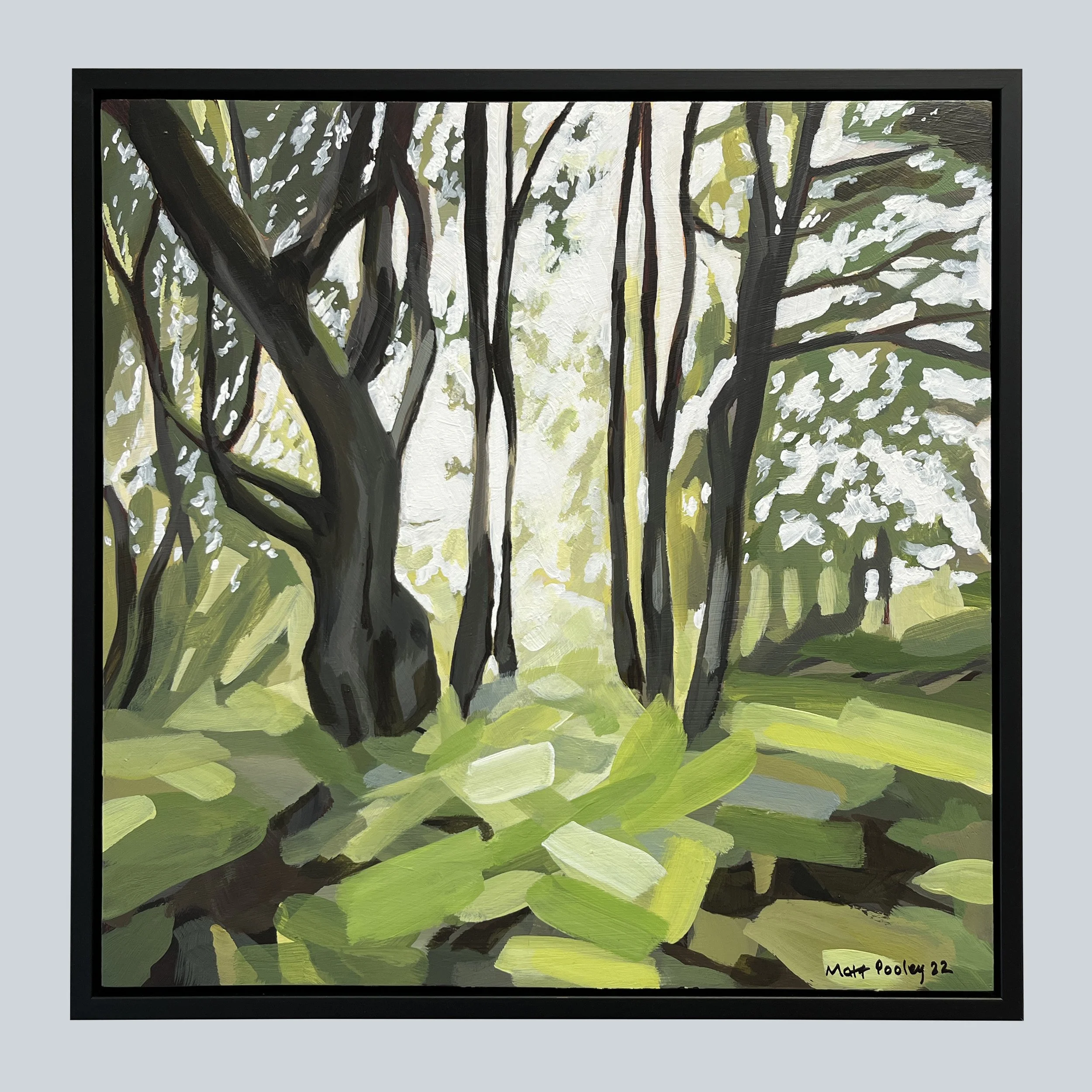 Sunlight Through Honley Wood.JPG