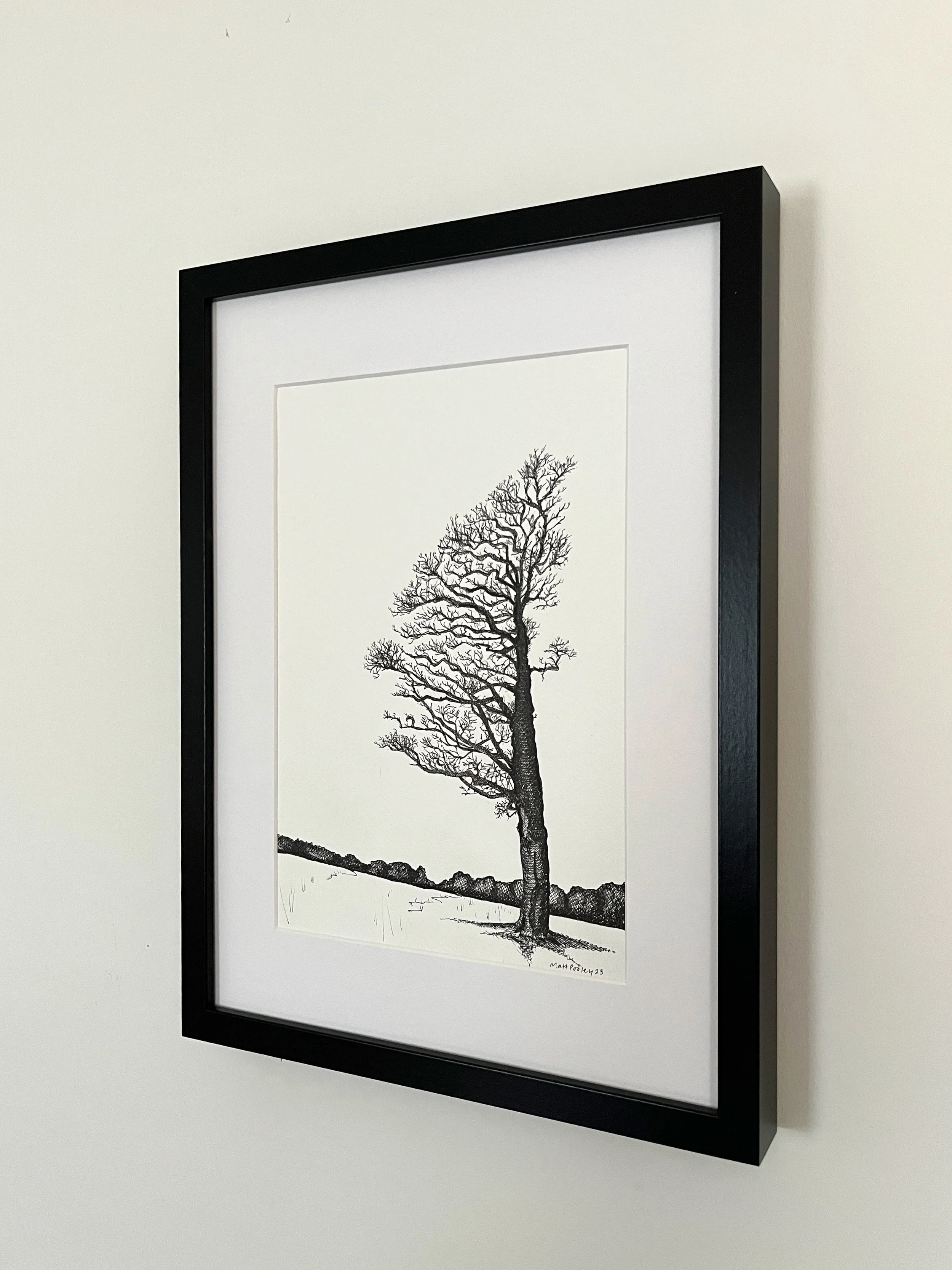 Wilshaw Tree in-situ.jpeg