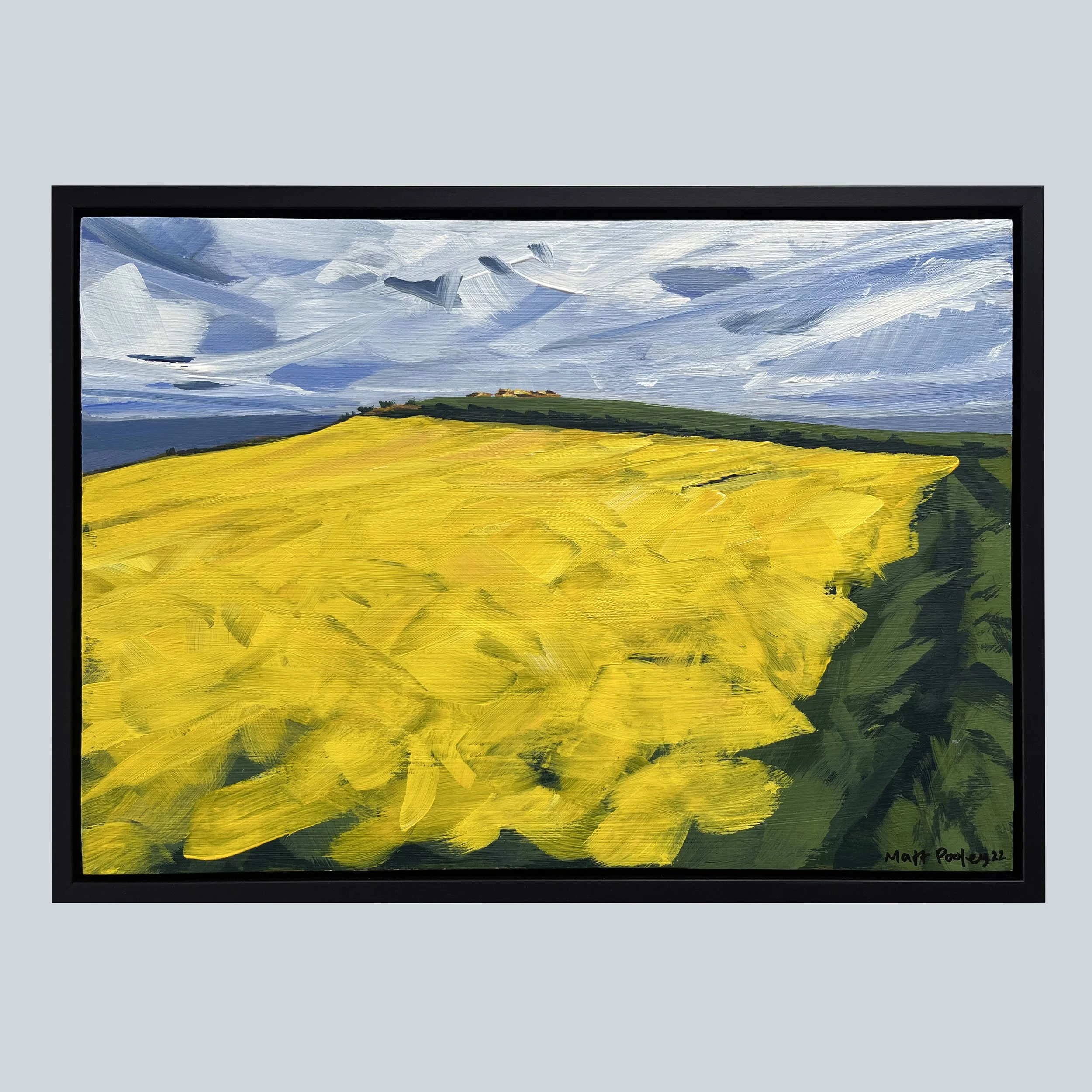 Canola Field, Hinderwell.JPG