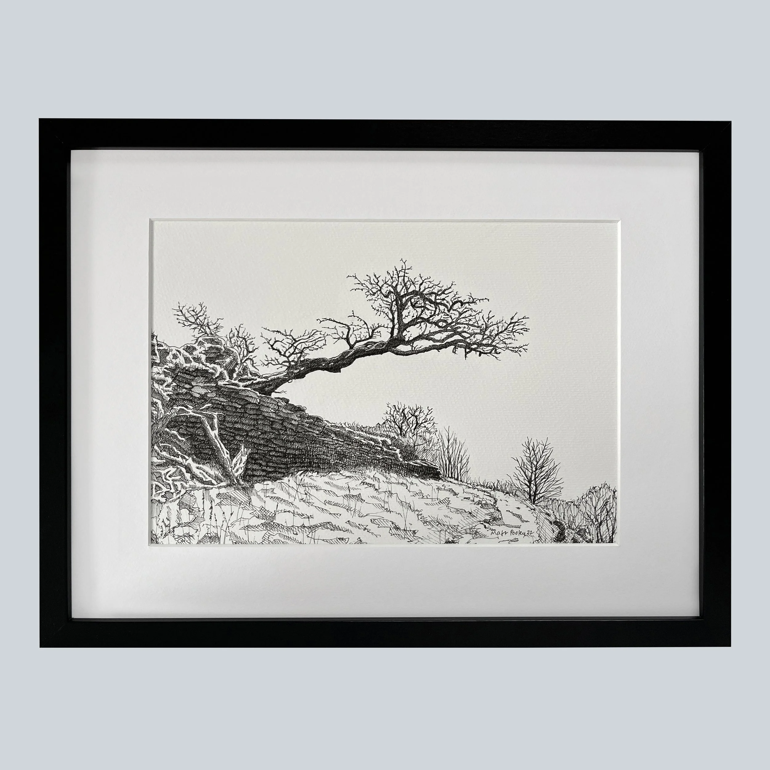 Leaning Tree on Snowy Royd Edge, Meltham.JPG