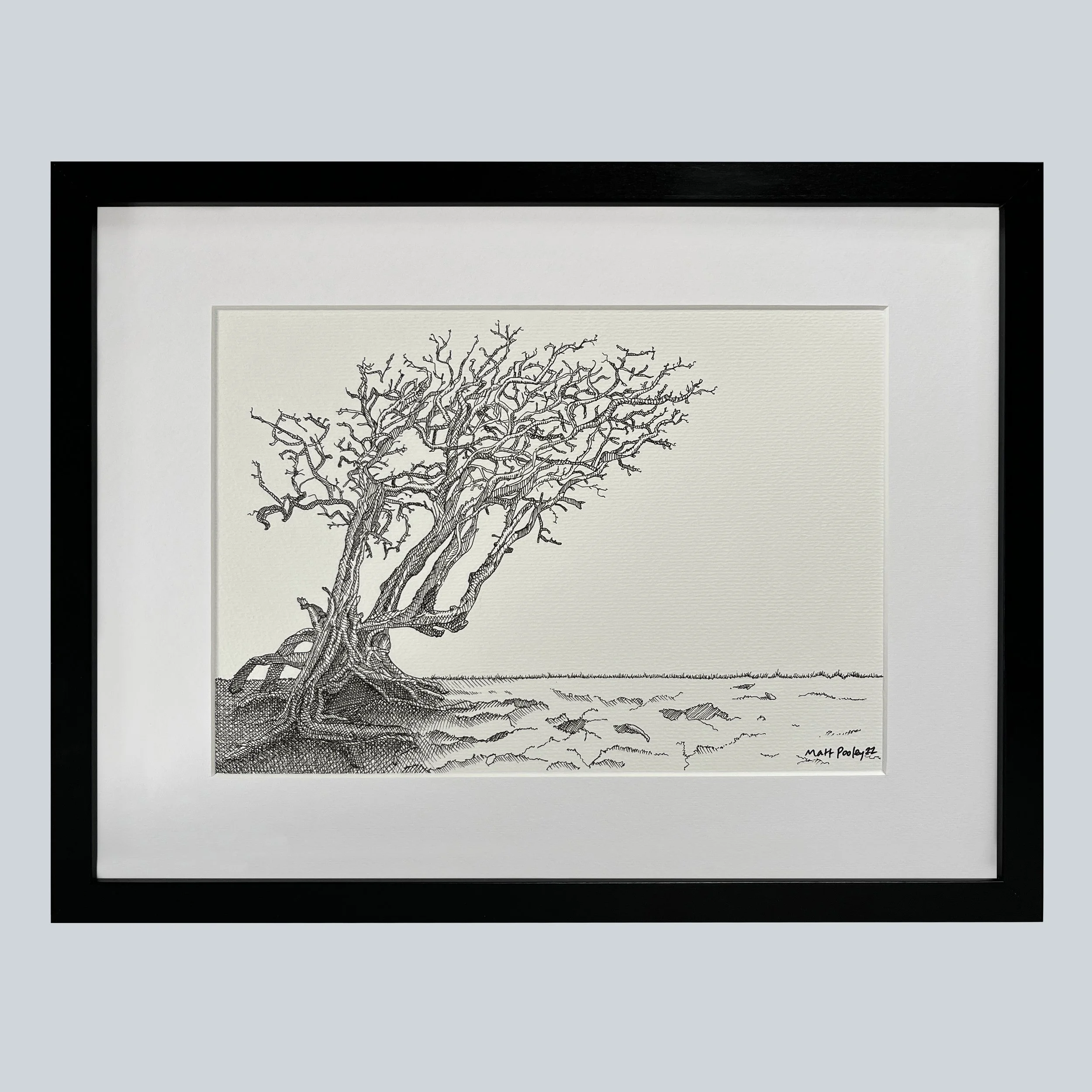 Windswept Tree Lake District.JPG