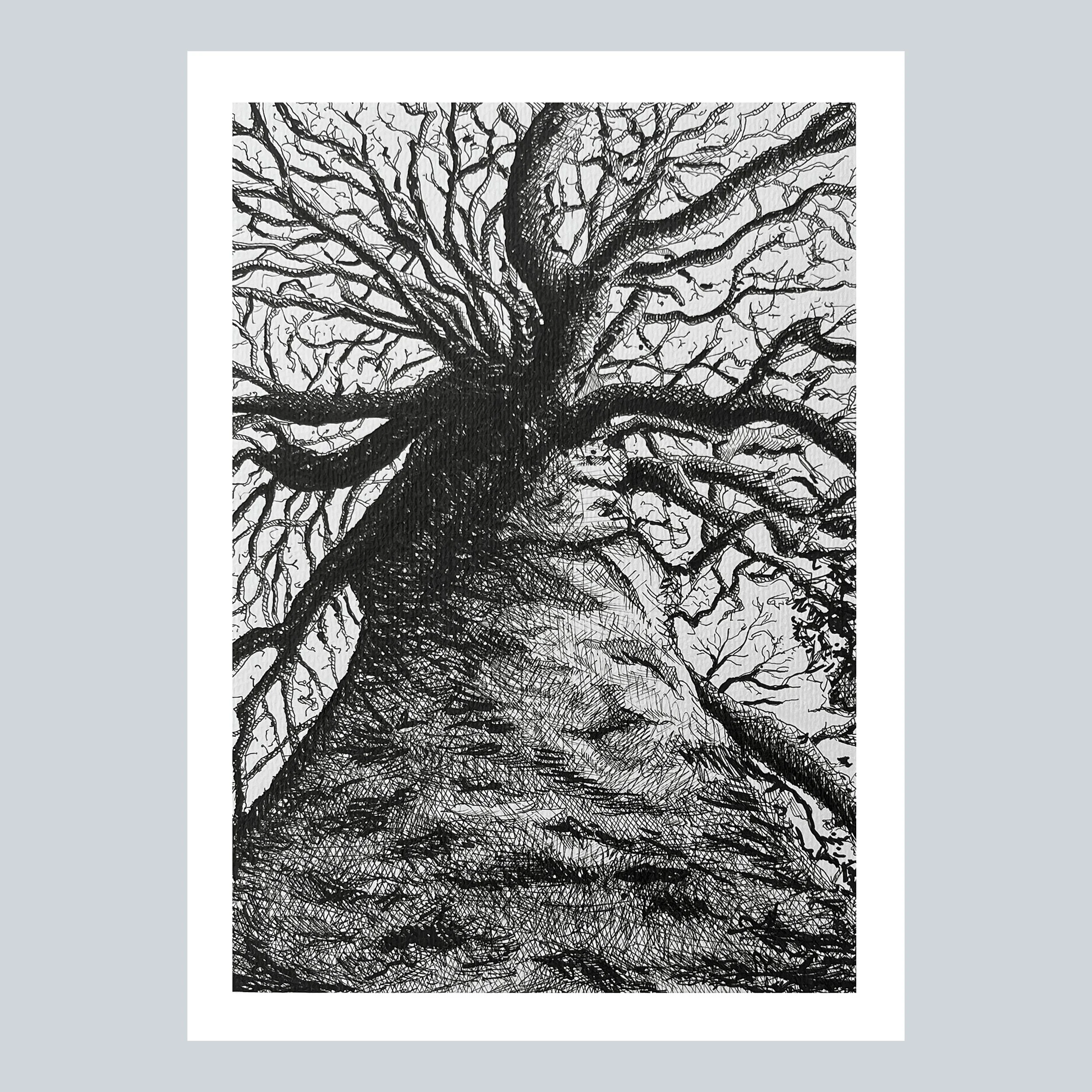 Up a Tree Print on Grey Square.jpg
