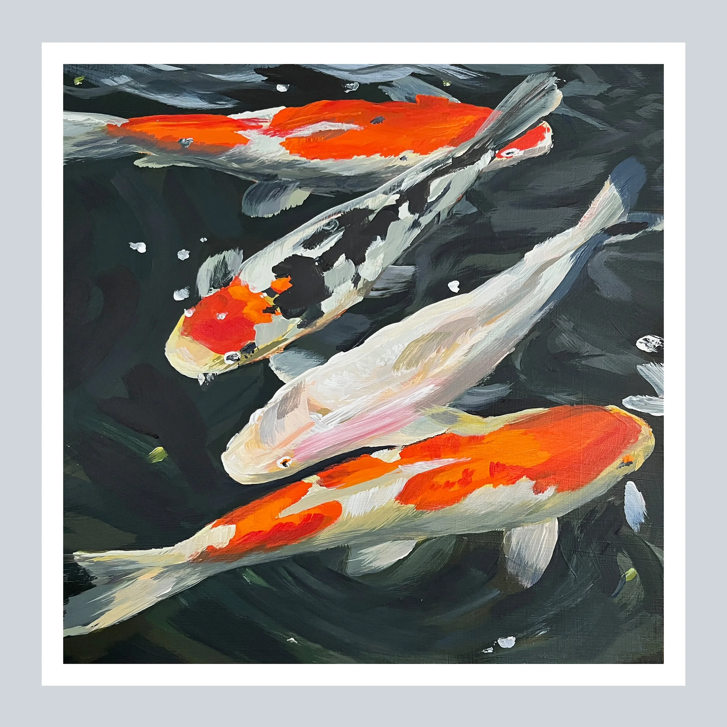 Koi Fish Swimming Print on Grey Square.jpg