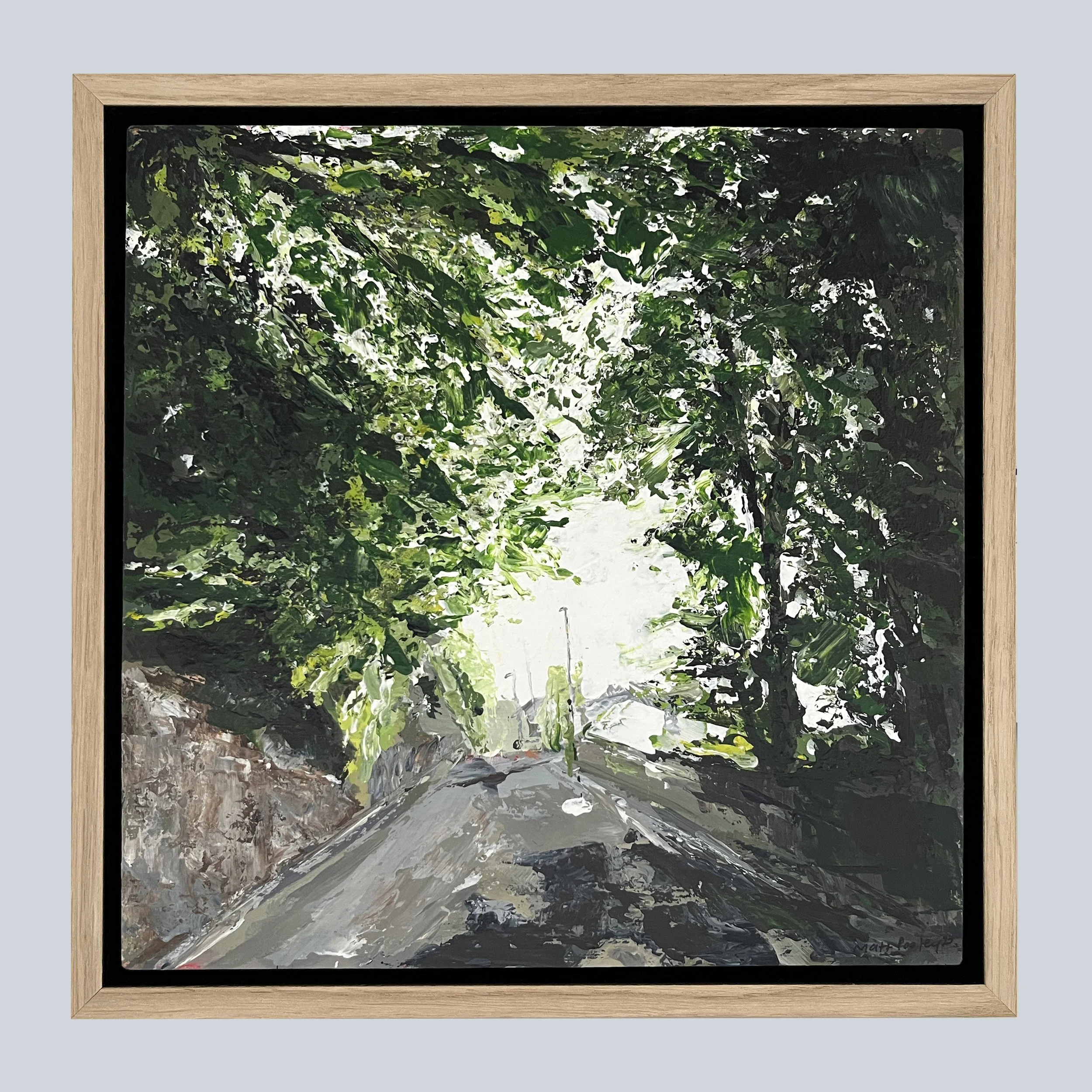 Dappled Trees on Grey Square.jpg