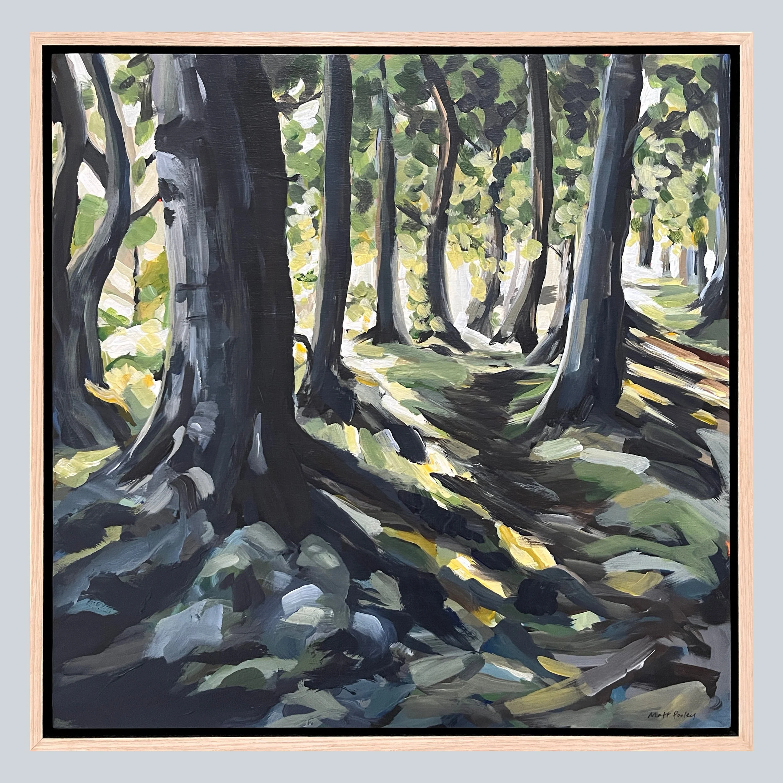 Sunny Woodland  Framed on Grey Square.jpg