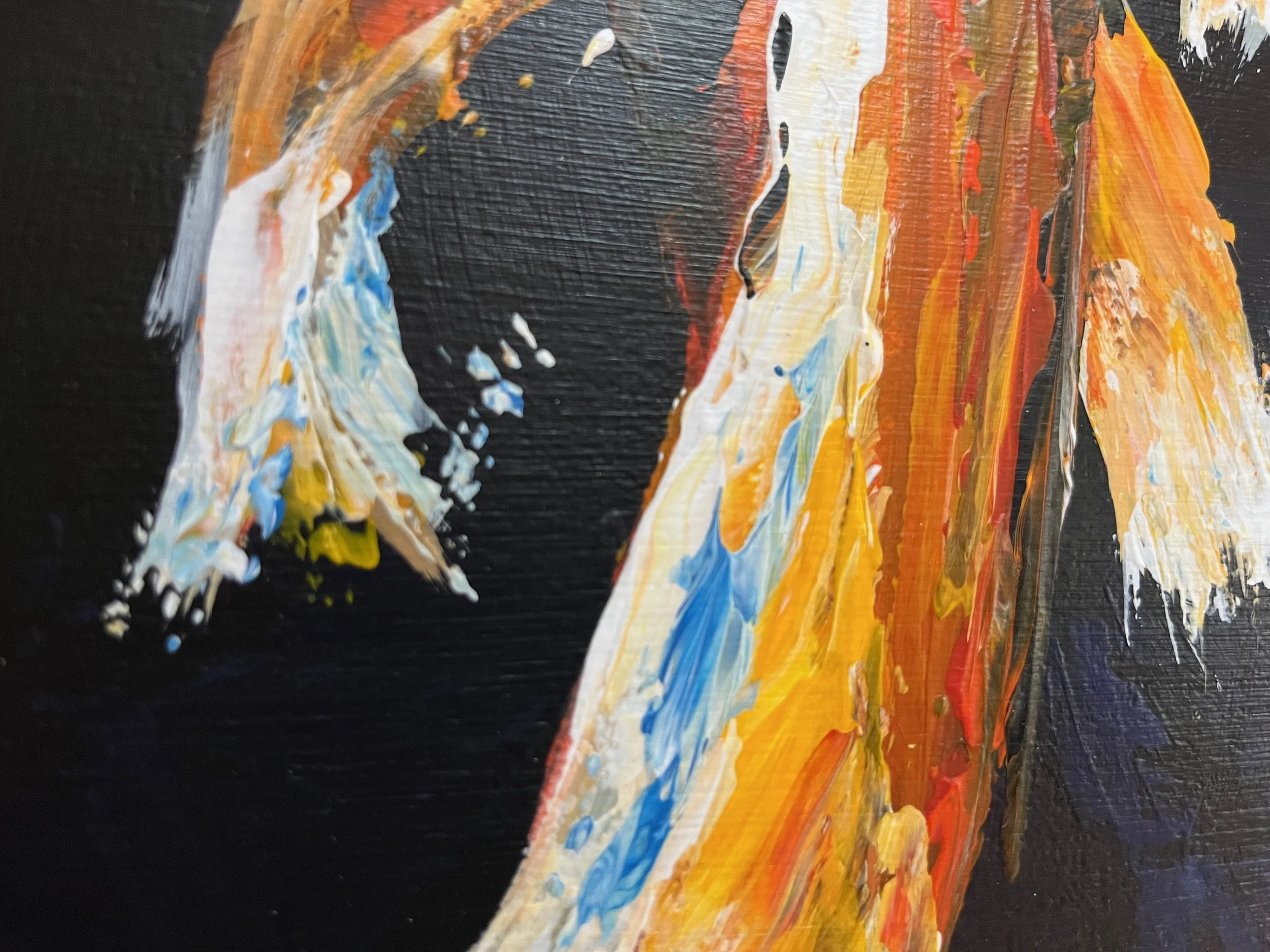 Koi Carp Detail 1.jpeg