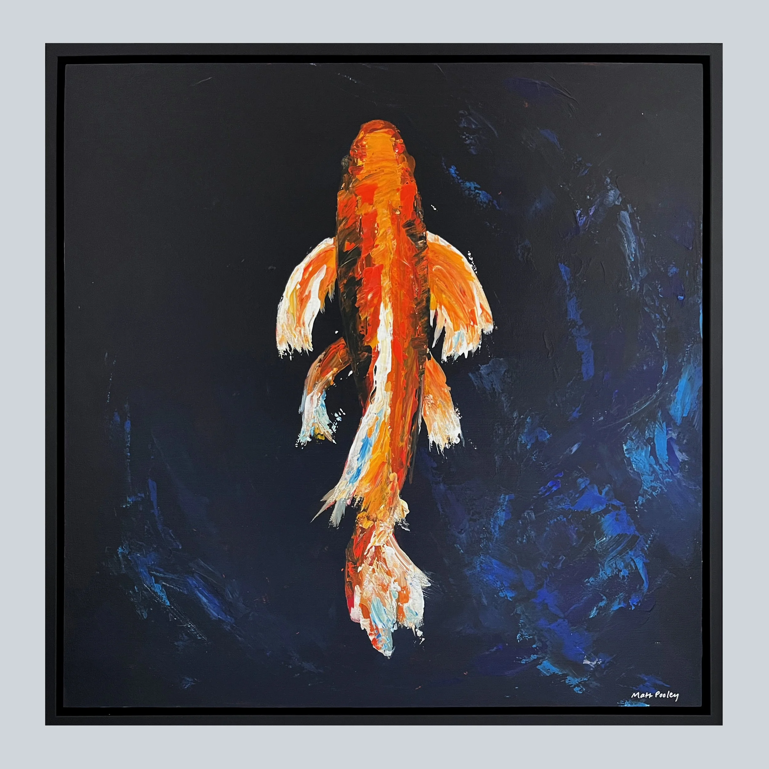 Koi Carp 1 Framed on Grey Square.jpg