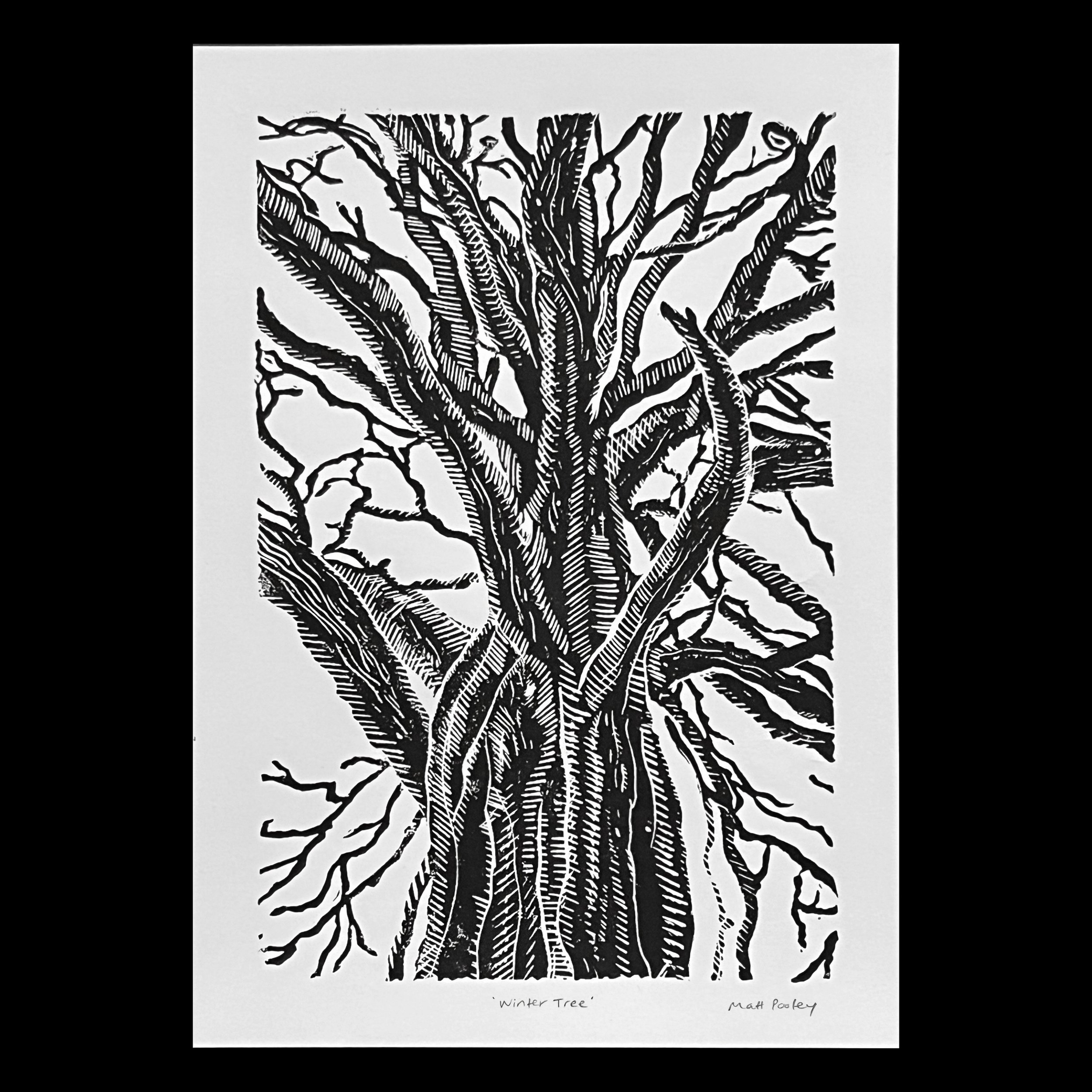 Winter Tree Lino Print Signed on Black Square.jpg