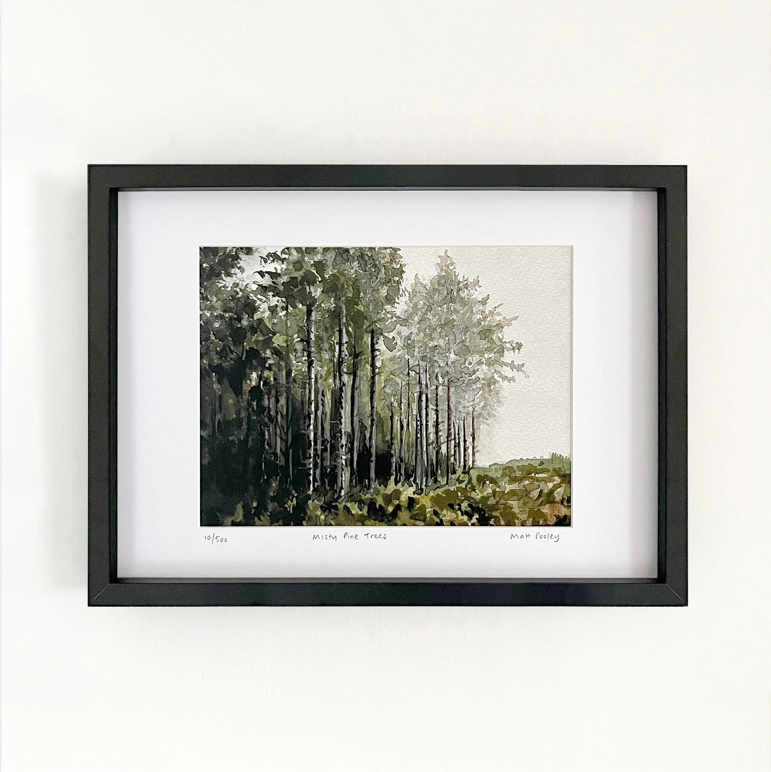 Misty Pine Trees In-Situ 3 Square.jpg