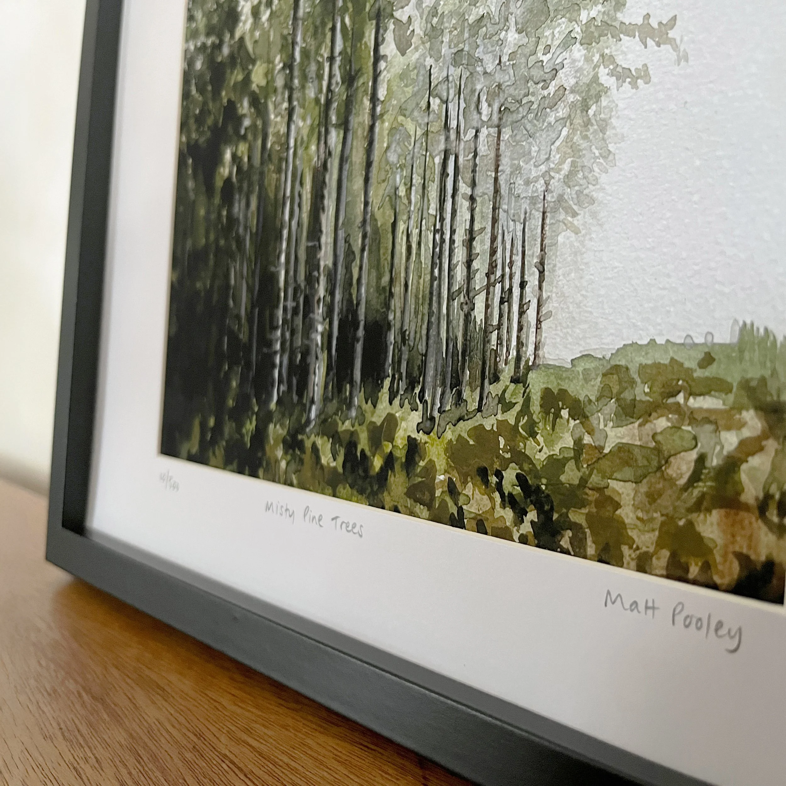 Misty Pine Trees In-Situ 4 Square.jpg