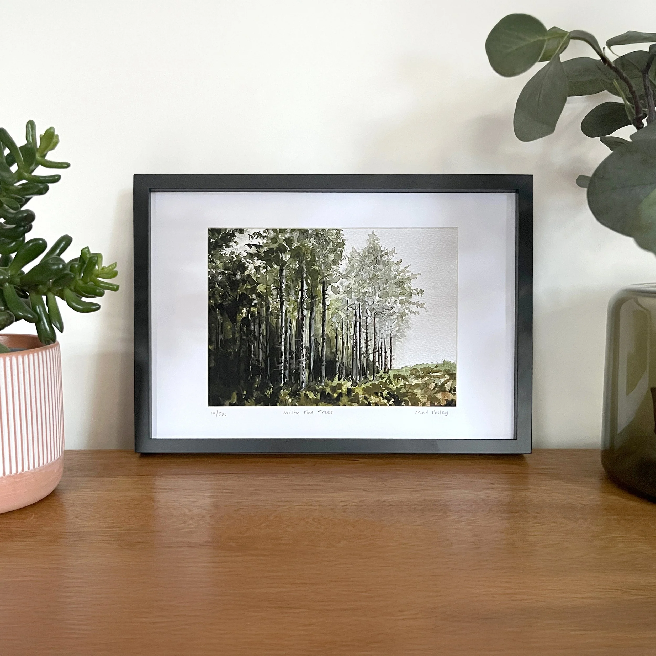 Misty Pine Trees In-Situ 1 Square.jpg