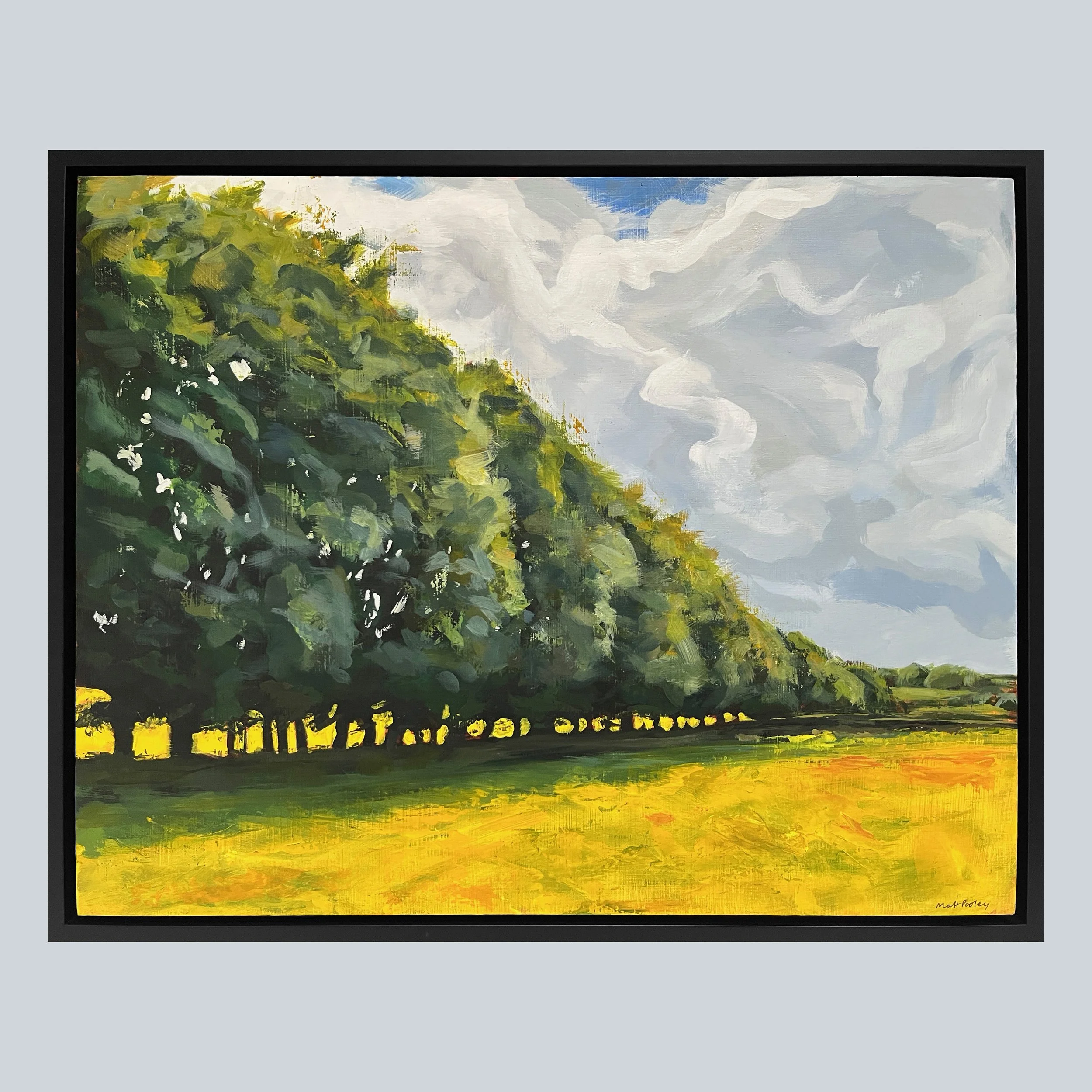 Buttercup Field on Grey Square.jpg