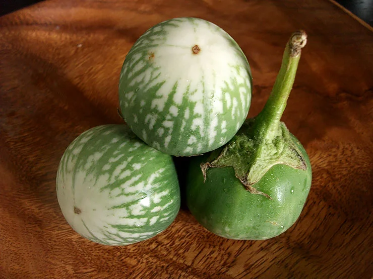 greencurry_step1.jpg