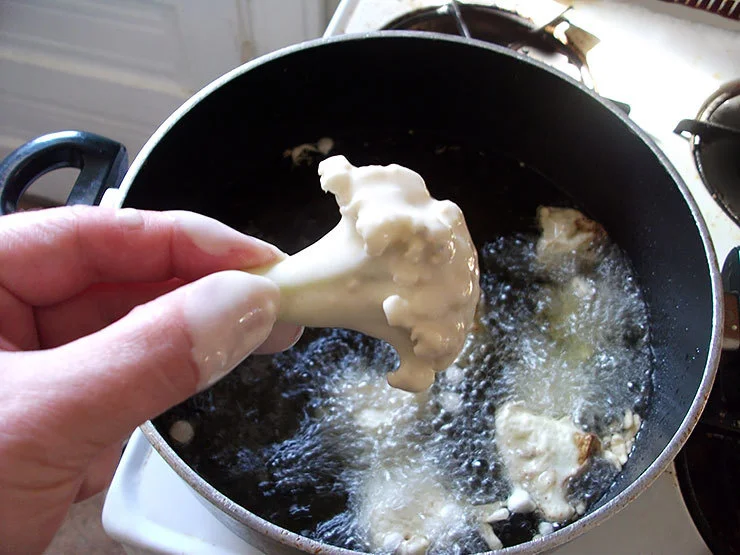 gobi_step1.jpg