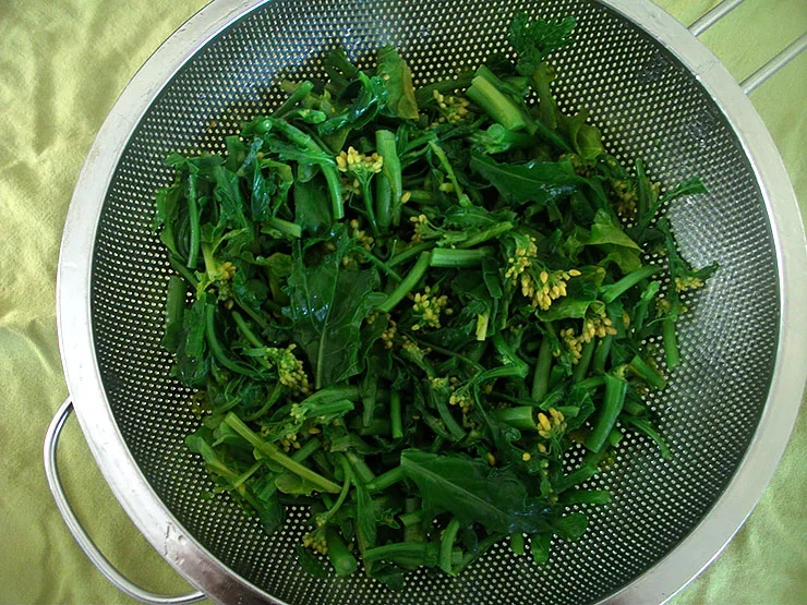 rigatone_step2.JPG