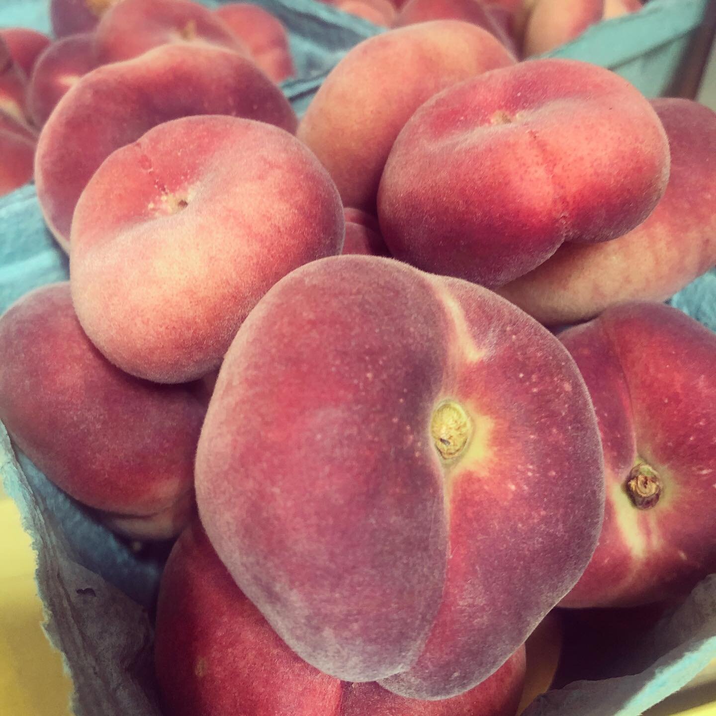 A limited number of white flesh donut peaches in the market this morning! First come, first served🍑 we also have plenty of Garnet Beauty and Summer Serenade cling peaches and we would love to cut you a sample. We expect to have some yellow flesh don