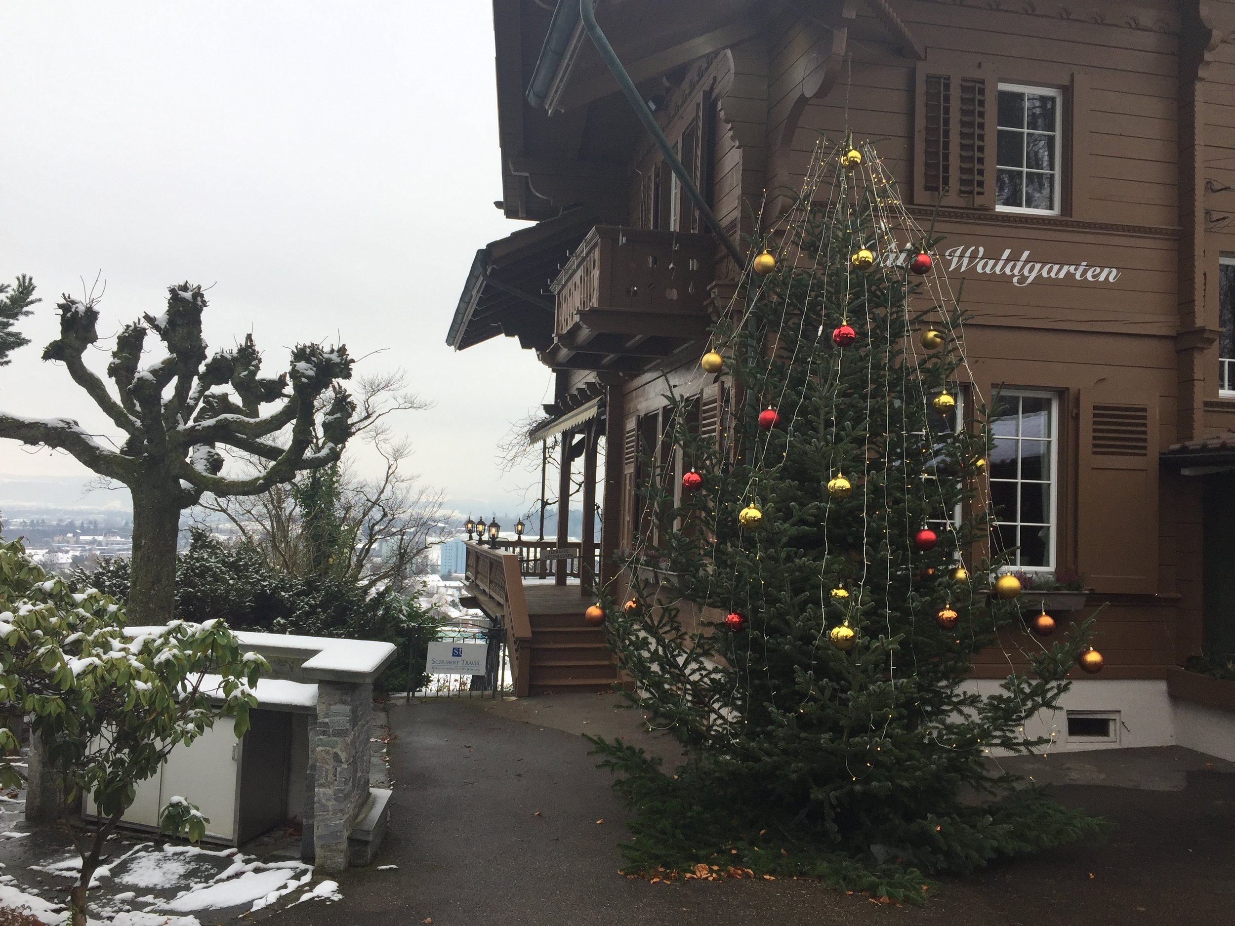 Weihnachtsbaum 2017.JPG