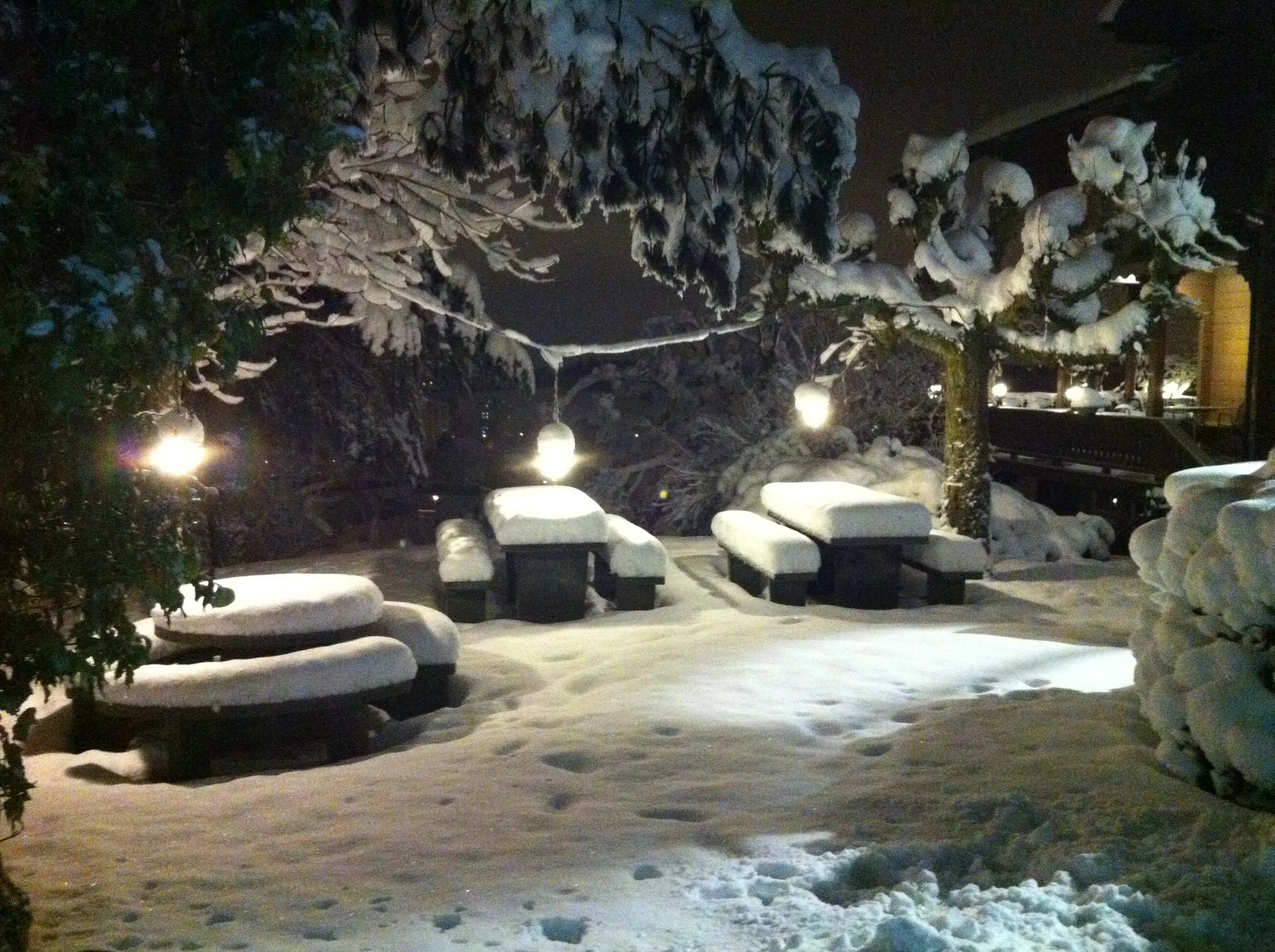 Tessiner Garten vorm Chalet im Schneegewand