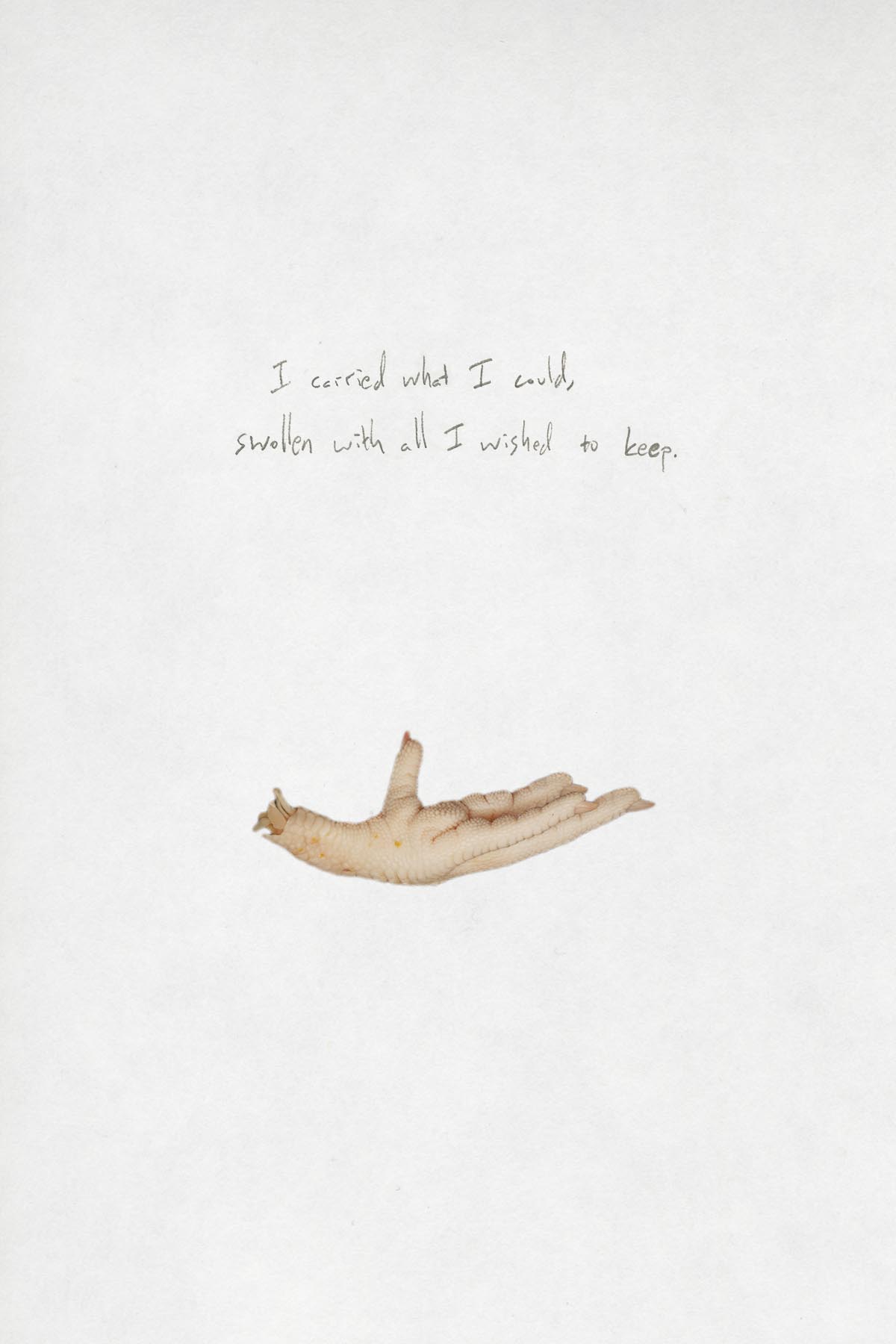Fowl. (I carried what I could, swollen with all I wished to keep.)