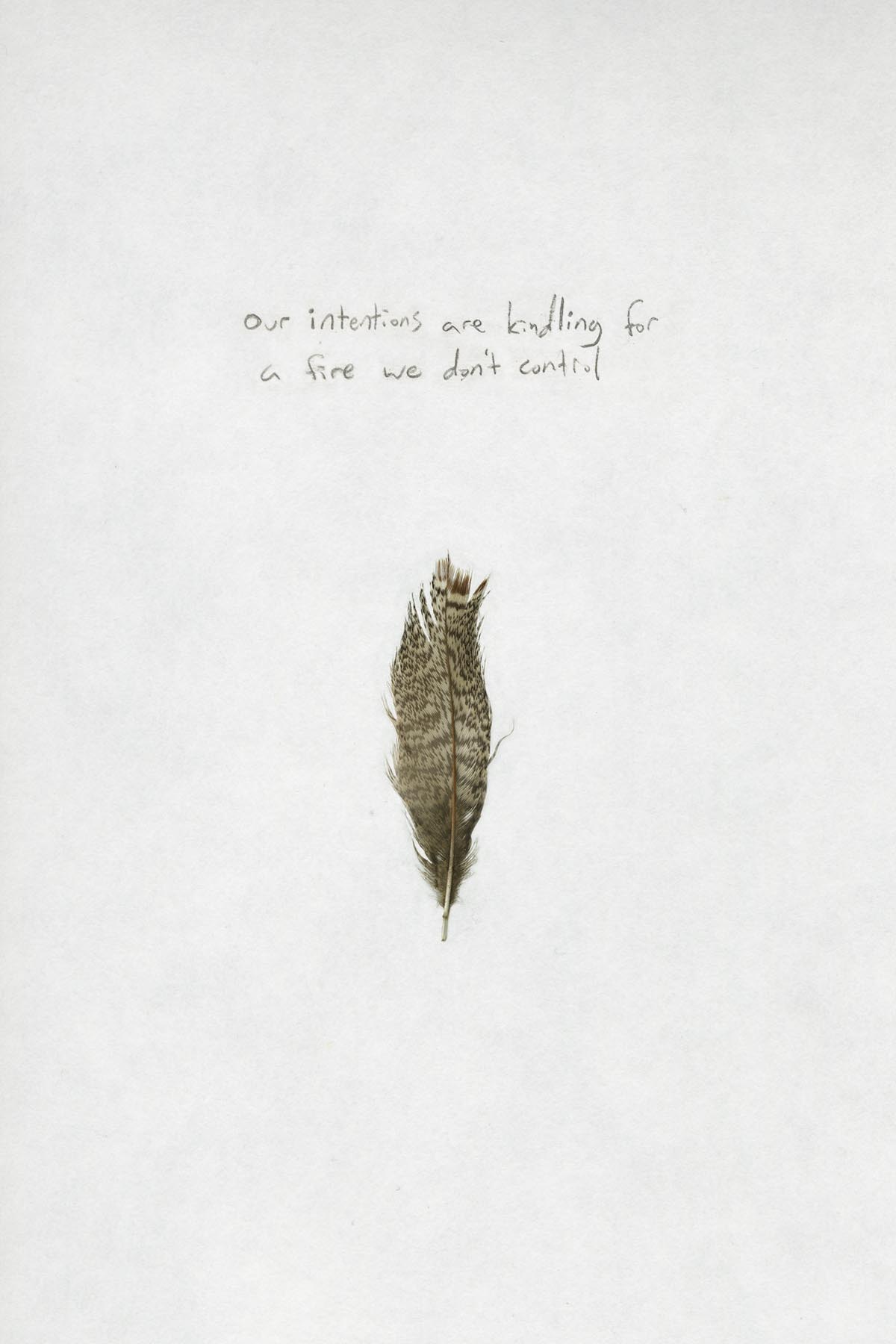Hungarian Partridge. (Our intentions are kindling for a fire we don't control.)