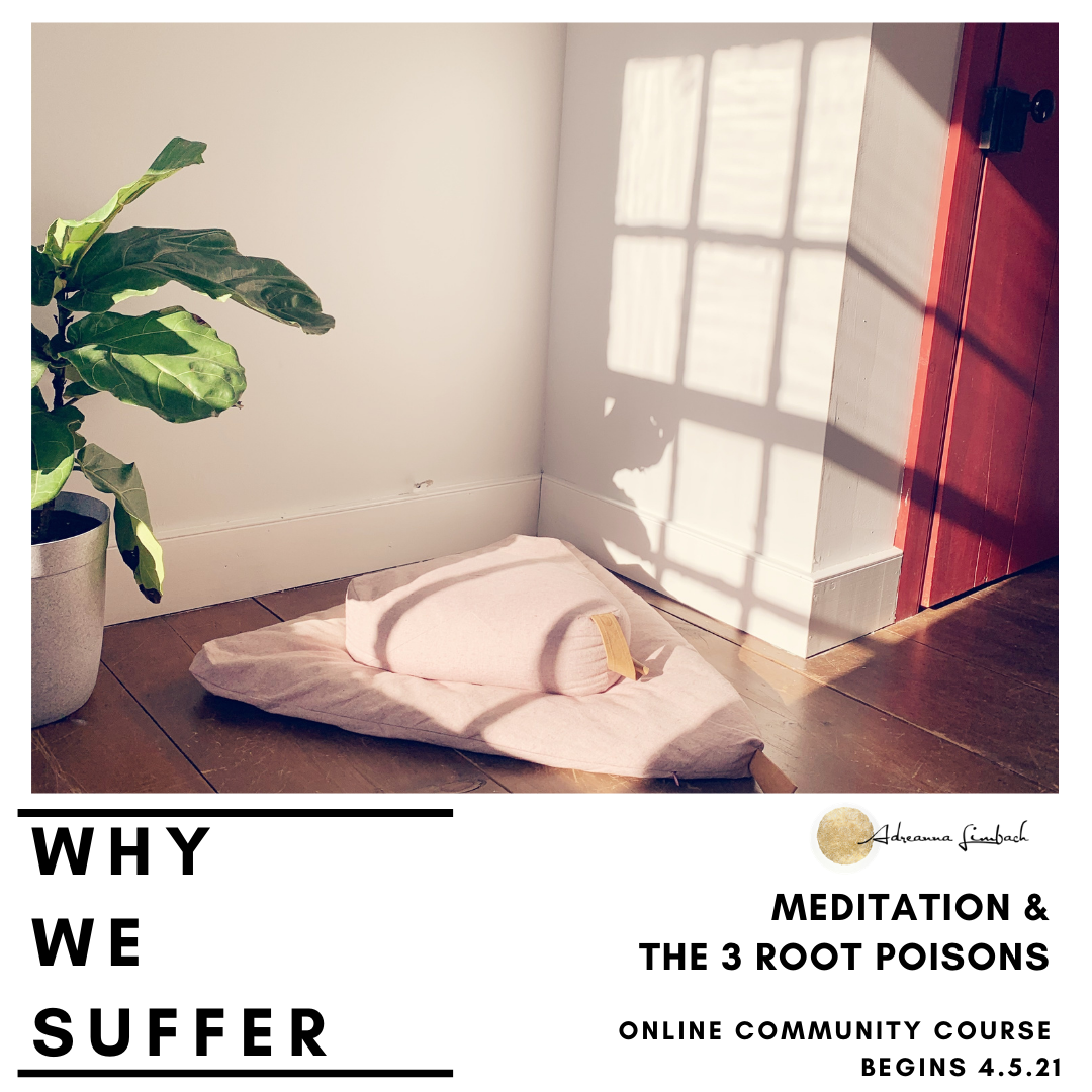 Copy of WHY WE SUFFER (5).png