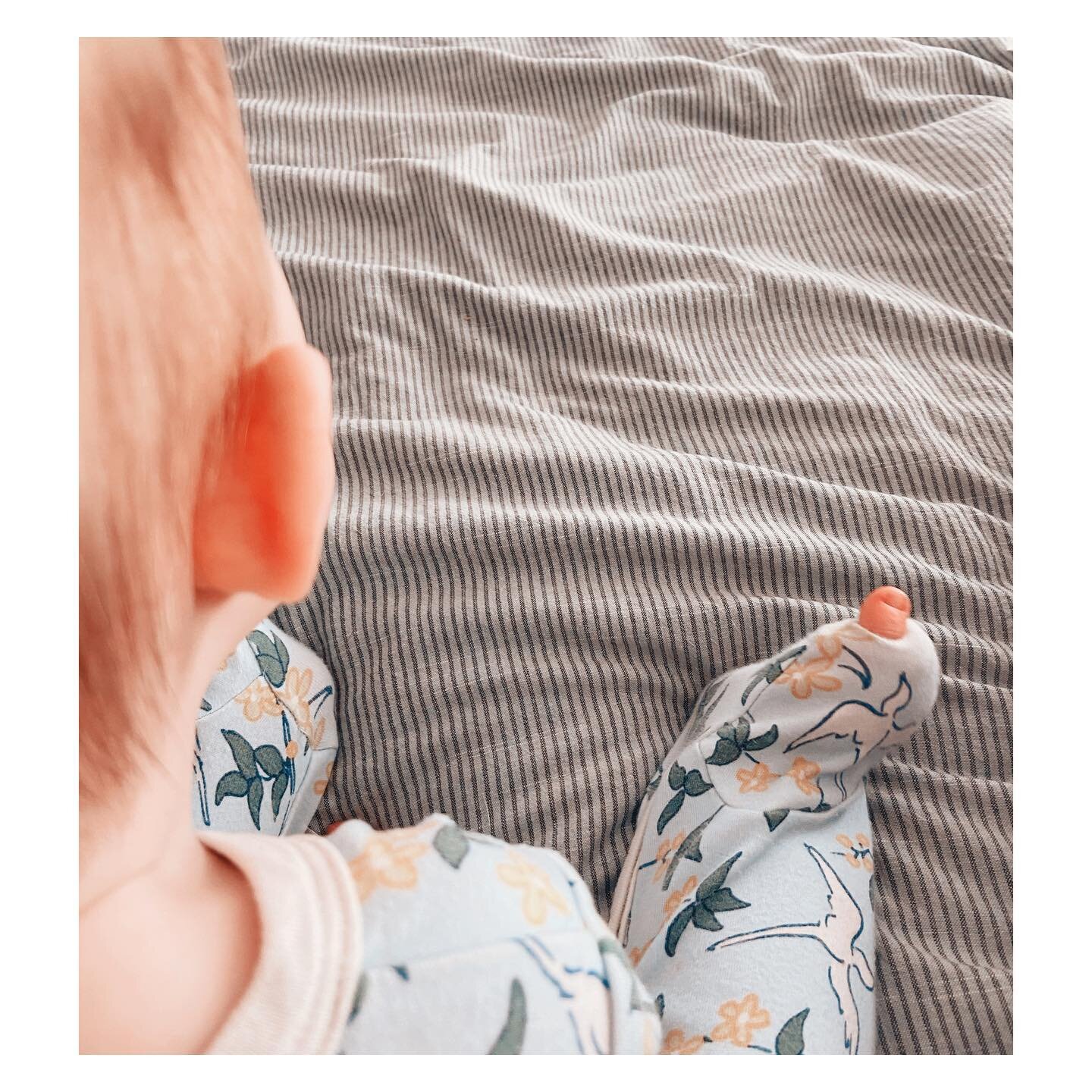Meditation Haiku #66
To find ourselves - here
In stillness like a baby 
Finding her own toe 

~&gt; When this kiddo was born, @rhettisadlar sent us a congrats with the message that &ldquo;she is the teacher now&rdquo;, and honestly, that&rsquo;s been