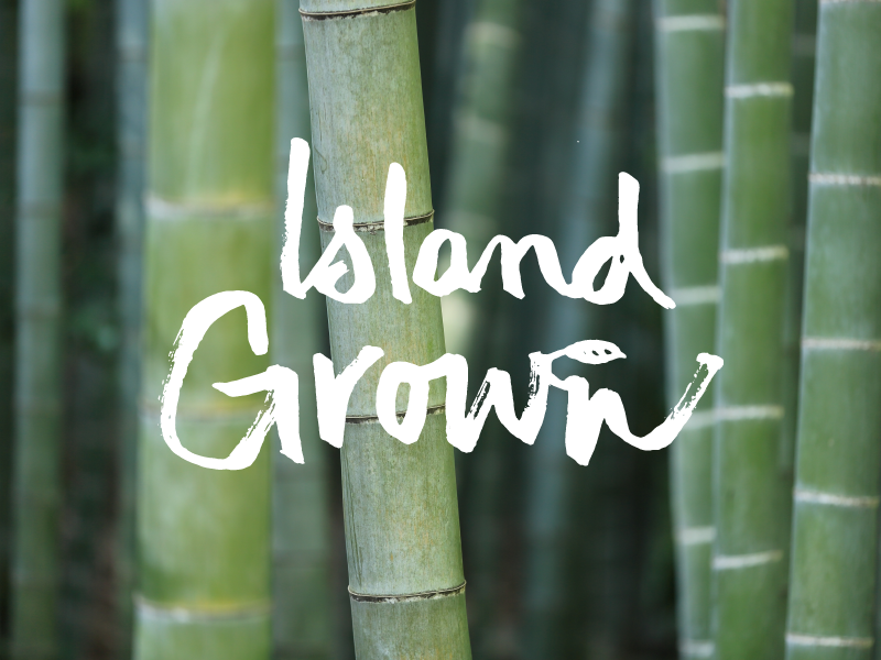 Island Grown Lettering