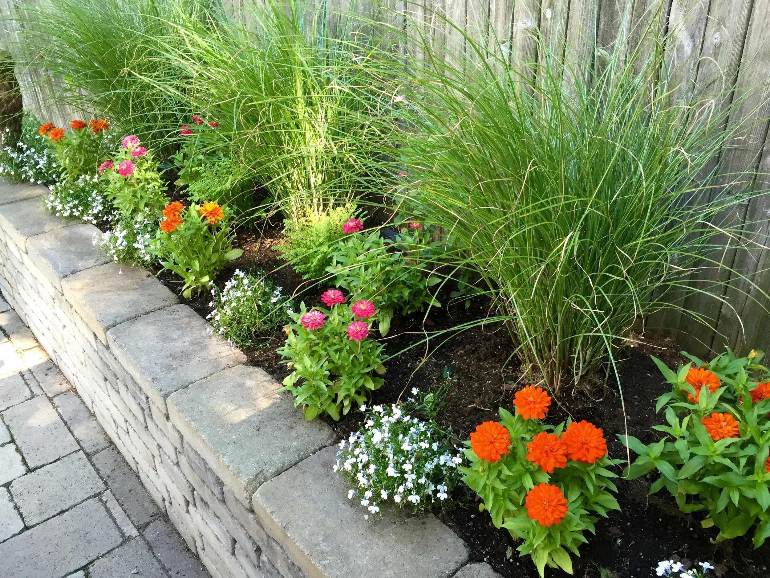 Raised beds with beautiful, "clean" grasses which blow in the wind and colorful annuals to give a pop of color behind the couch.
