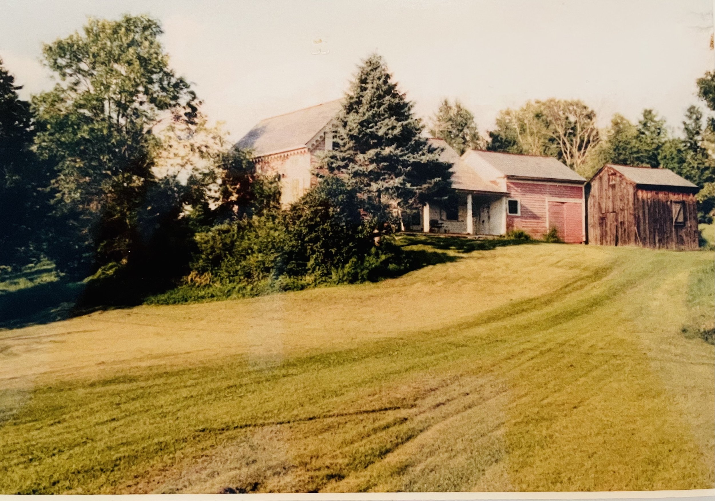 pink house one.jpg