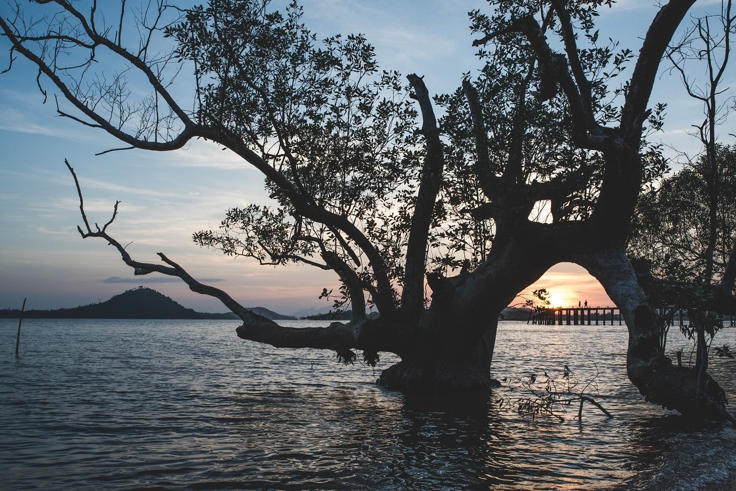 Off the southern coast of Myanmar, 2018.
🗺 &ldquo;Once the travel bug bites there is no known antidote, and I know that I shall be happily infected until the end of my life.&rdquo; &ndash; Michael Palin ⛺🌉🚡

We have a treasure trove of images awai