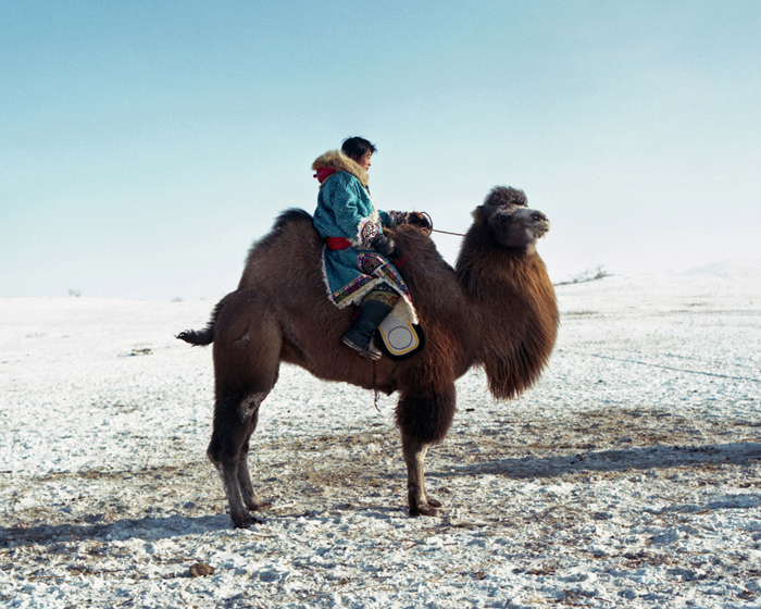 Li Wei, "Camel Rider", 2010 