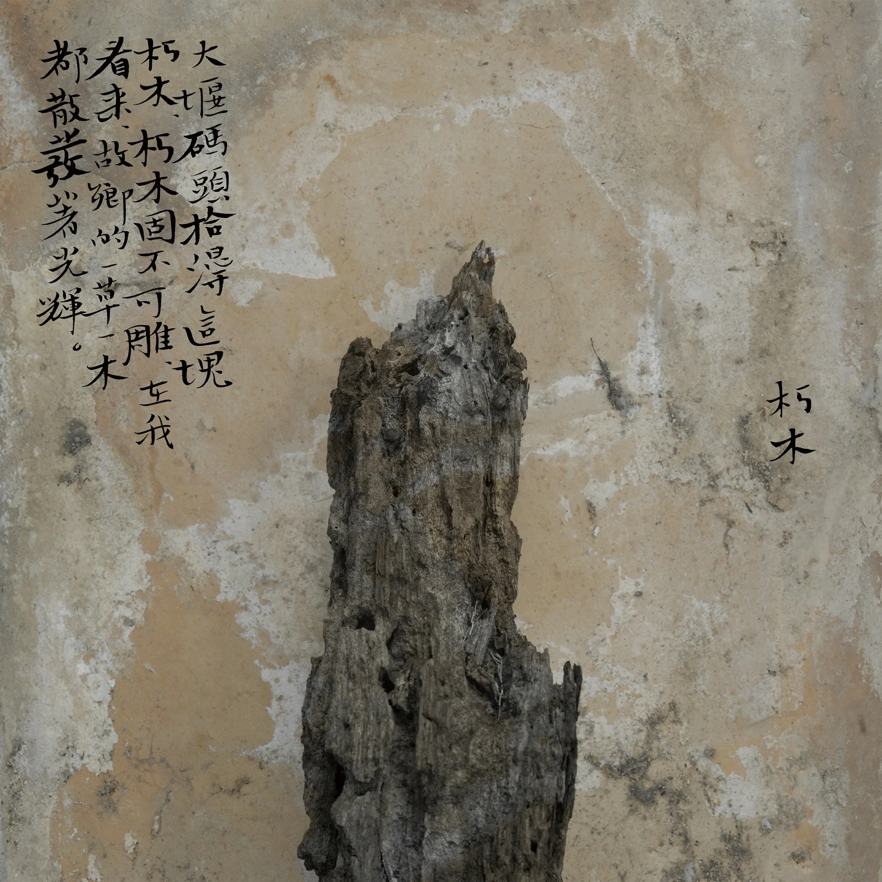 Wei Bi, Meng Xi II - Decomposing Wood, 2012 © Wei Bi / Artwork exhibited by SEE+