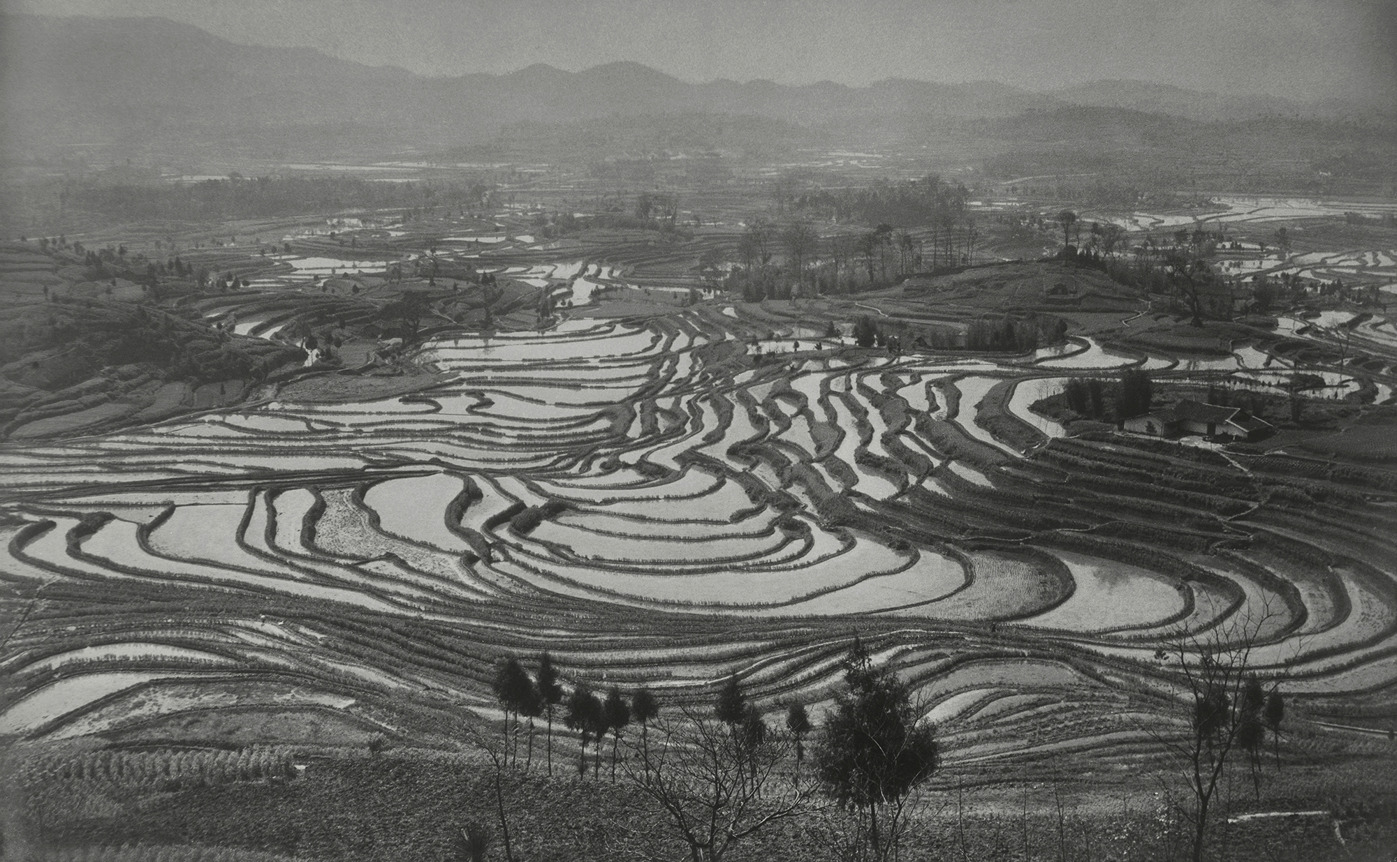 Xue Zijiang, Before Spring Ploughing , Sichuan Province, 1957, printed on fine heavy paper, mounted on cardboard, 50.3×83.5cm, courtesy of Huang Jianpeng Gallery