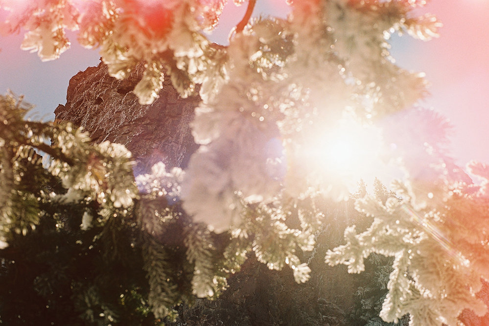 © Ning Kai & Sabrina Scarpa