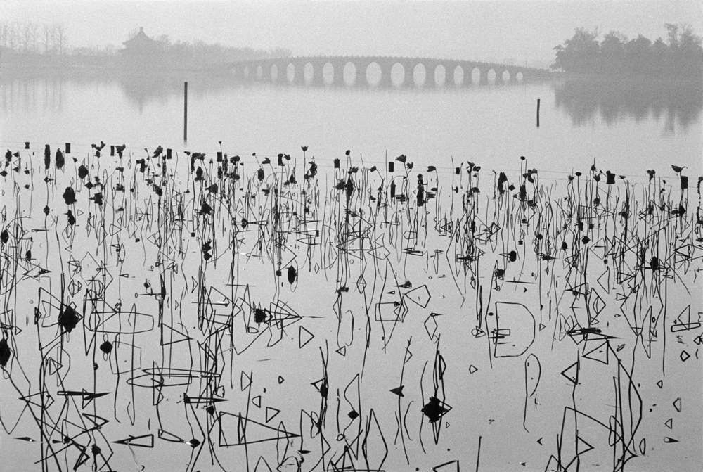 René Burri, ‘Former Summer Palace. Dead lotus flowers on the Kunming Lake’, Beijing, China, 1964. © Rene Burri/Magnum Photos