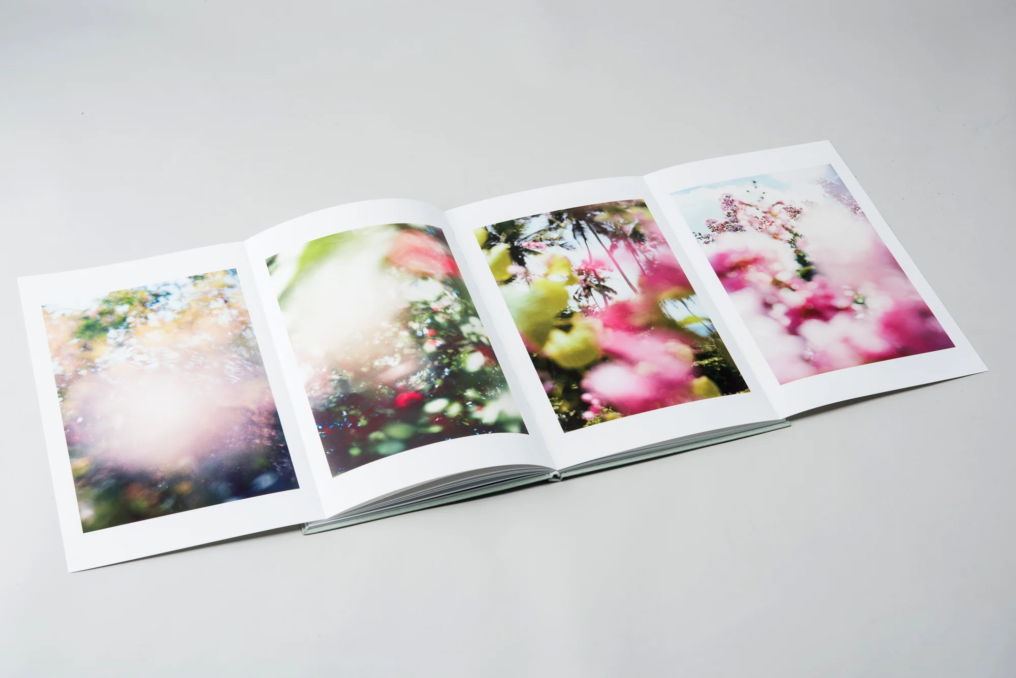 Ning Kai & Sabrina Scarpa, “The Land Between Us”, edited by Imageless © Courtesy of the authors