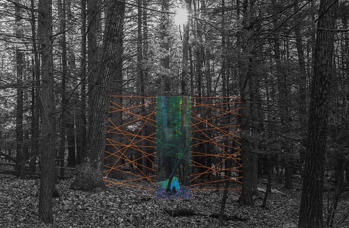 No.11304, Forest and Lines, Gardiner, New York, In Between , 2015 © Fan Haoran