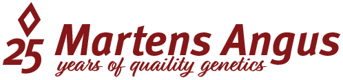 Martens Angus Farms