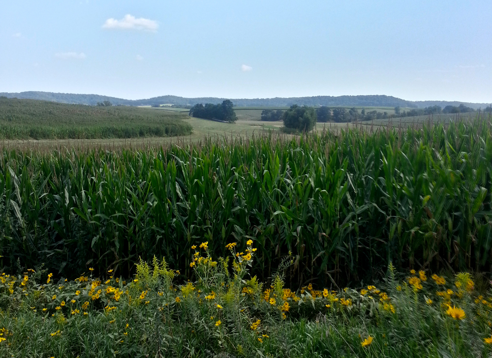 20130830_163455_HDR.jpg