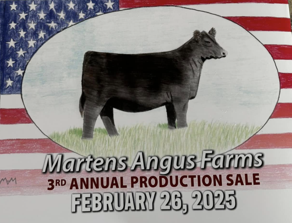 Angus Journal:  A Cover Worth a Thousand Words 