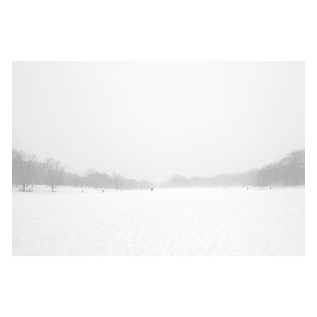 #prospectpark in the #snow