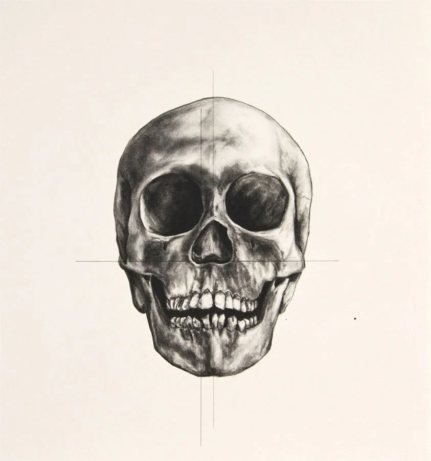  2 Skull 1   Charcoal, ink and pen on paper 20.8 x 19.9 in 