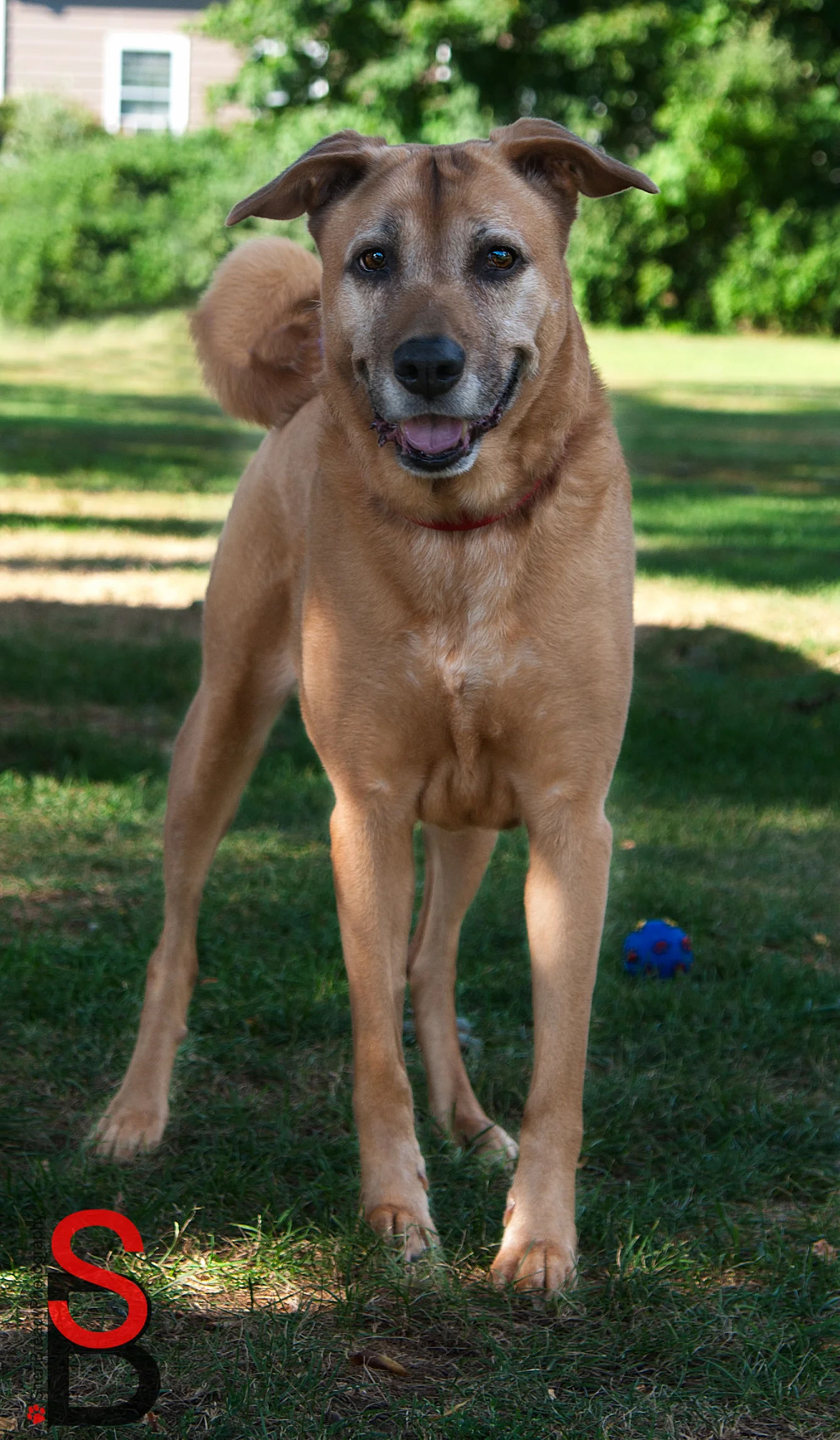 509720130812-Edit.jpg