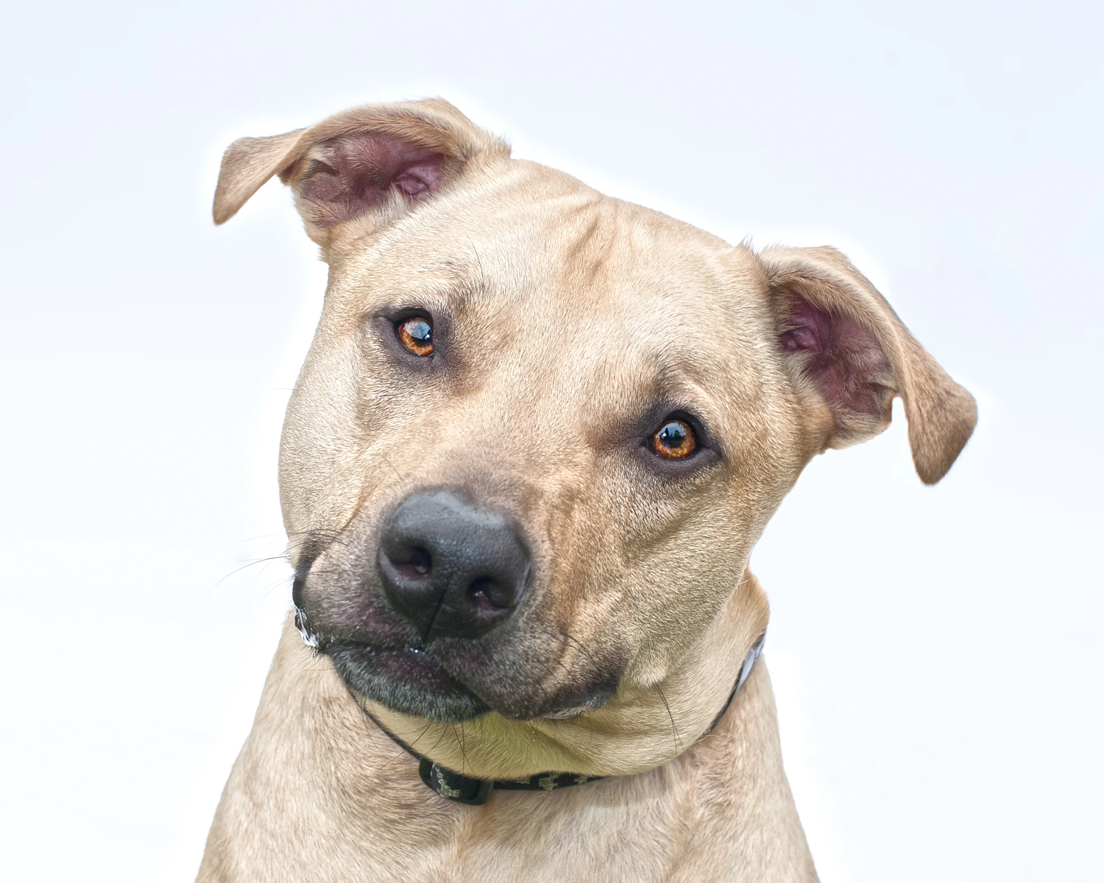 Max-4.jpg