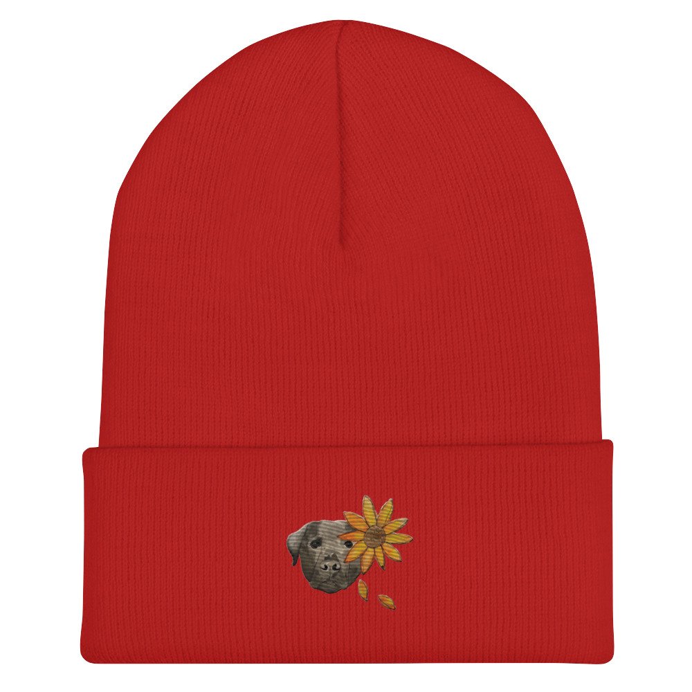 cuffed-beanie-red-front-65c2e256a2c84.jpg